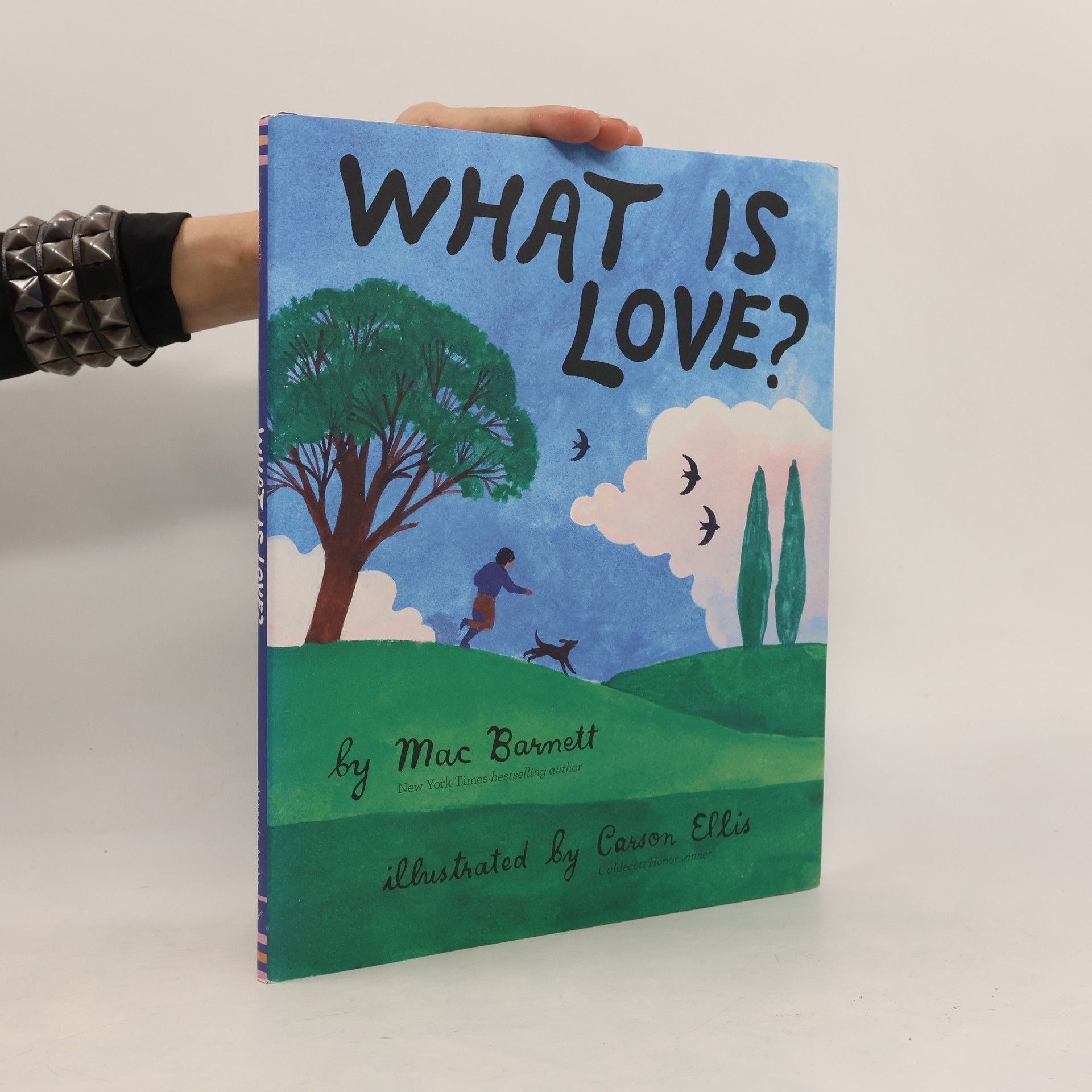 Mac Barnett What Is Love?