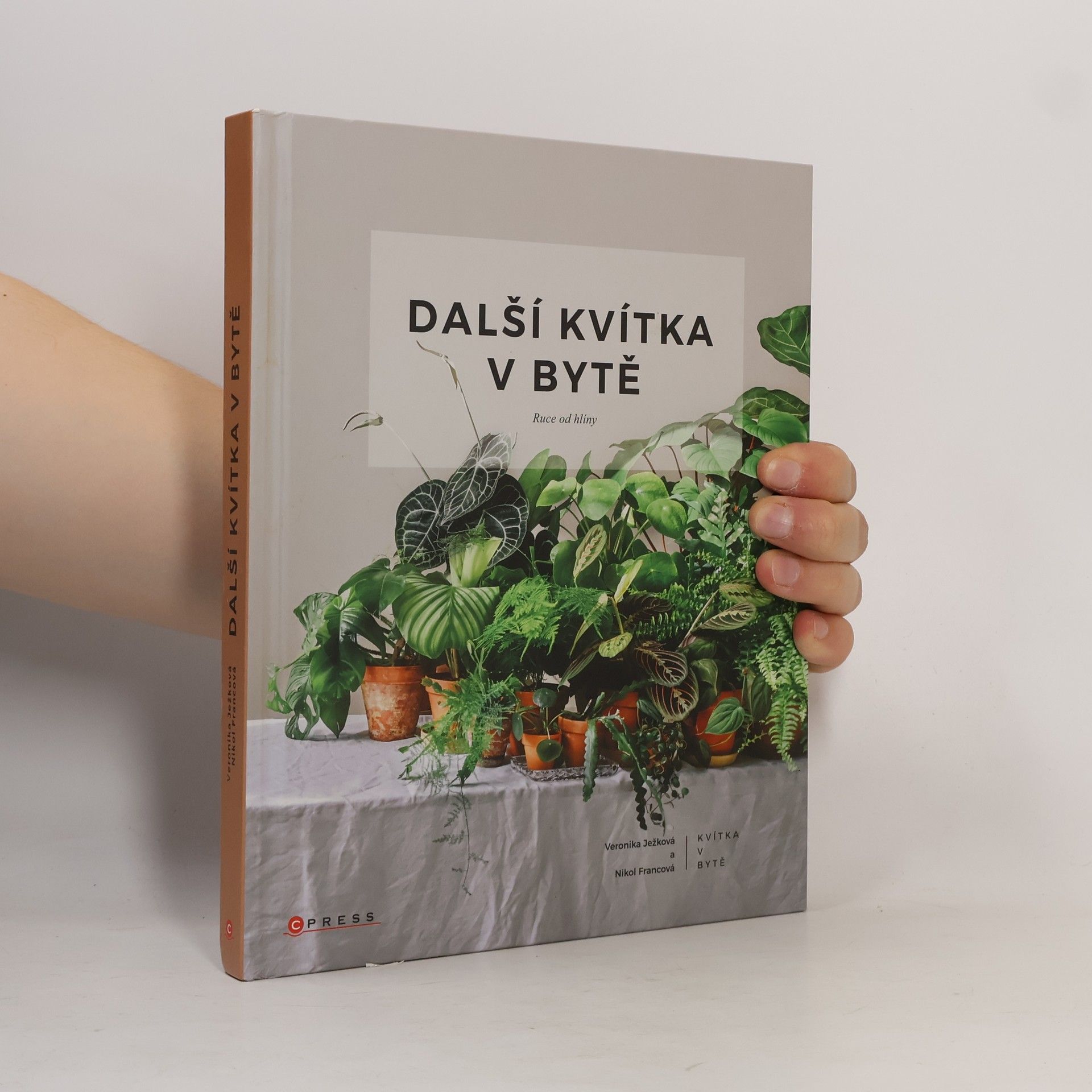 Nikol Francová Další kvítka v bytě : Ruce od hlíny