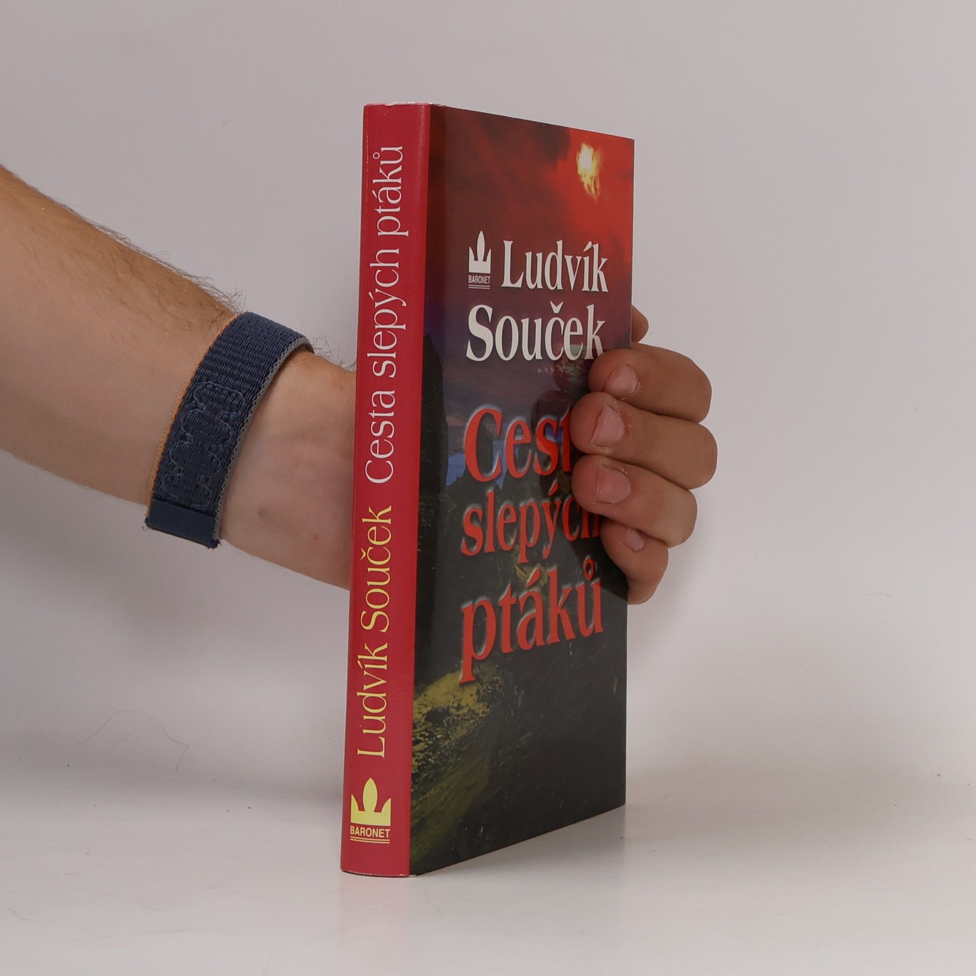 Ludvík Souček Cesta slepých ptáků