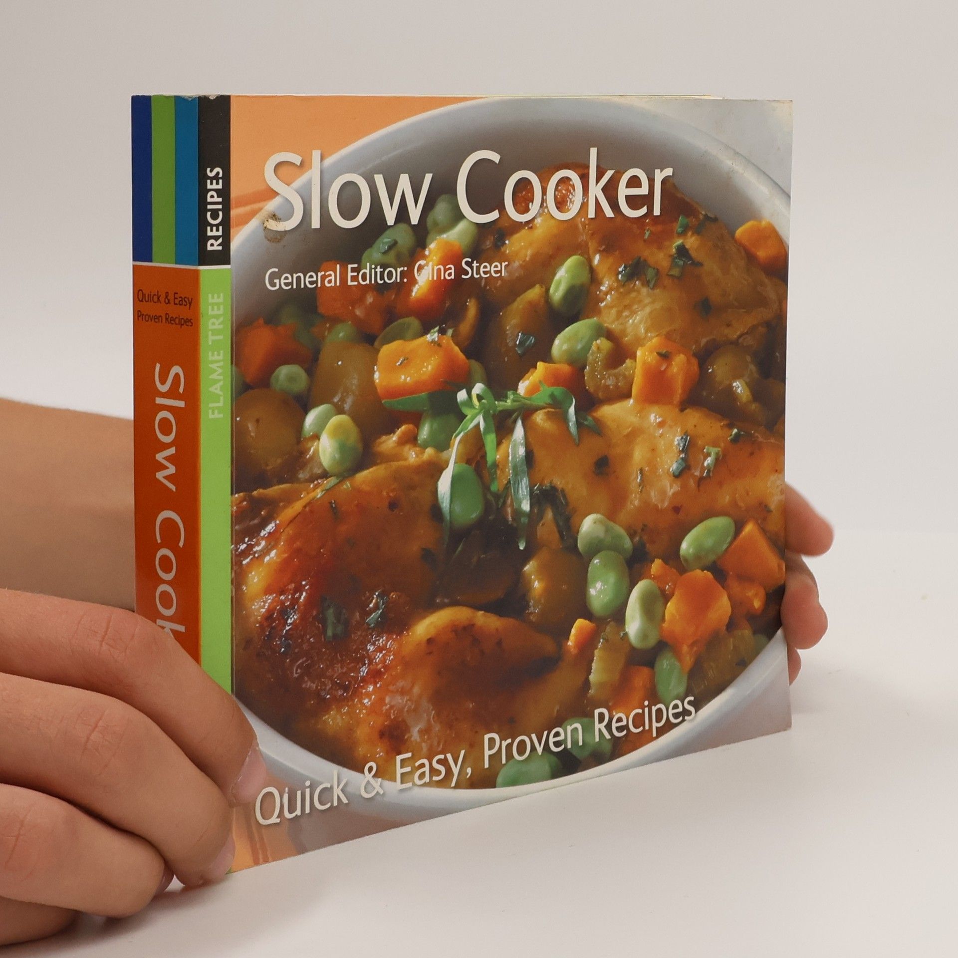 Gina Steer Slow Cooker