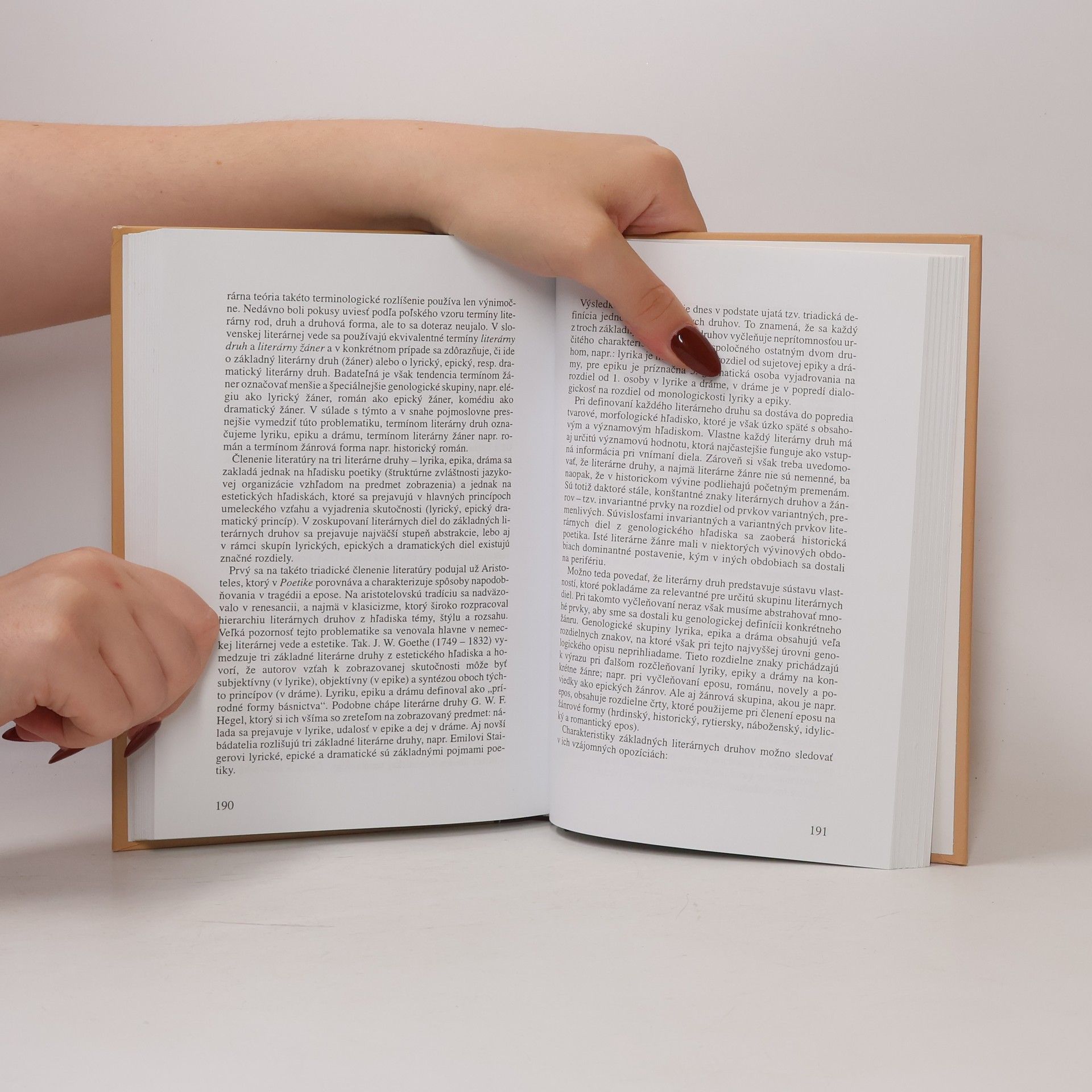 Michal Harpáň Teória literatúry