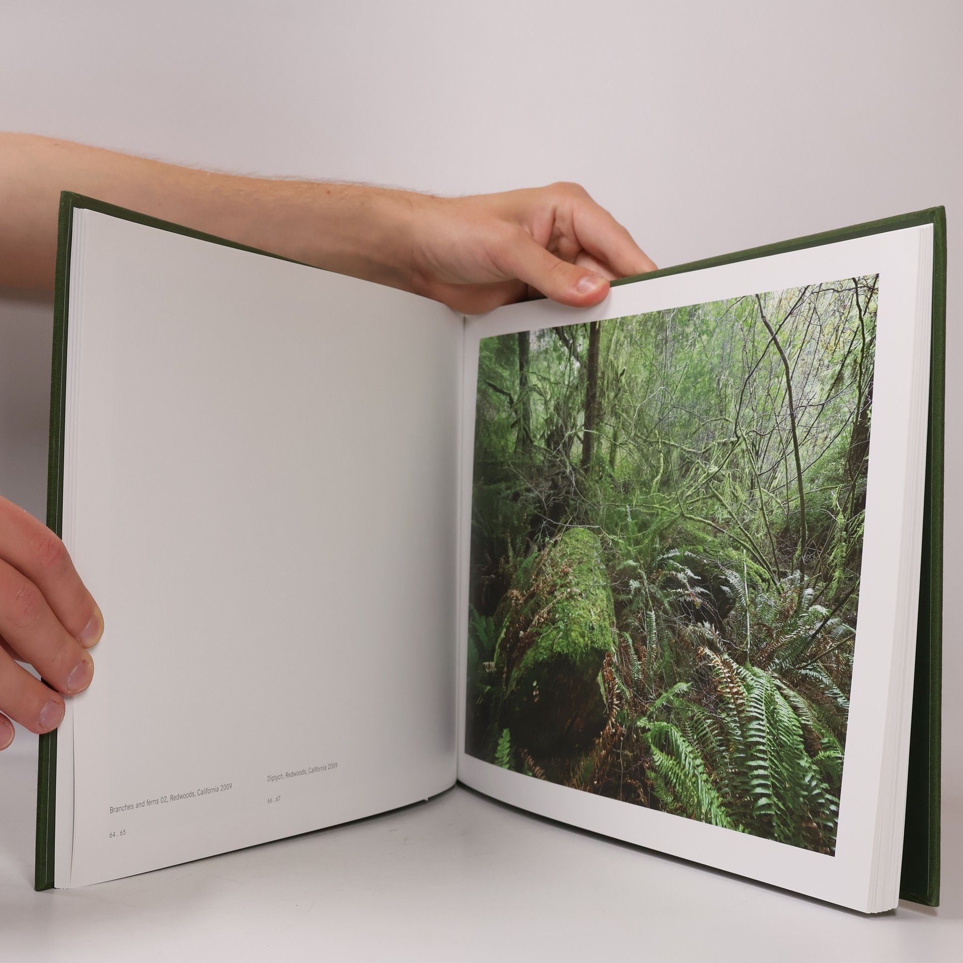 Olaf Otto Becker Reading the landscape
