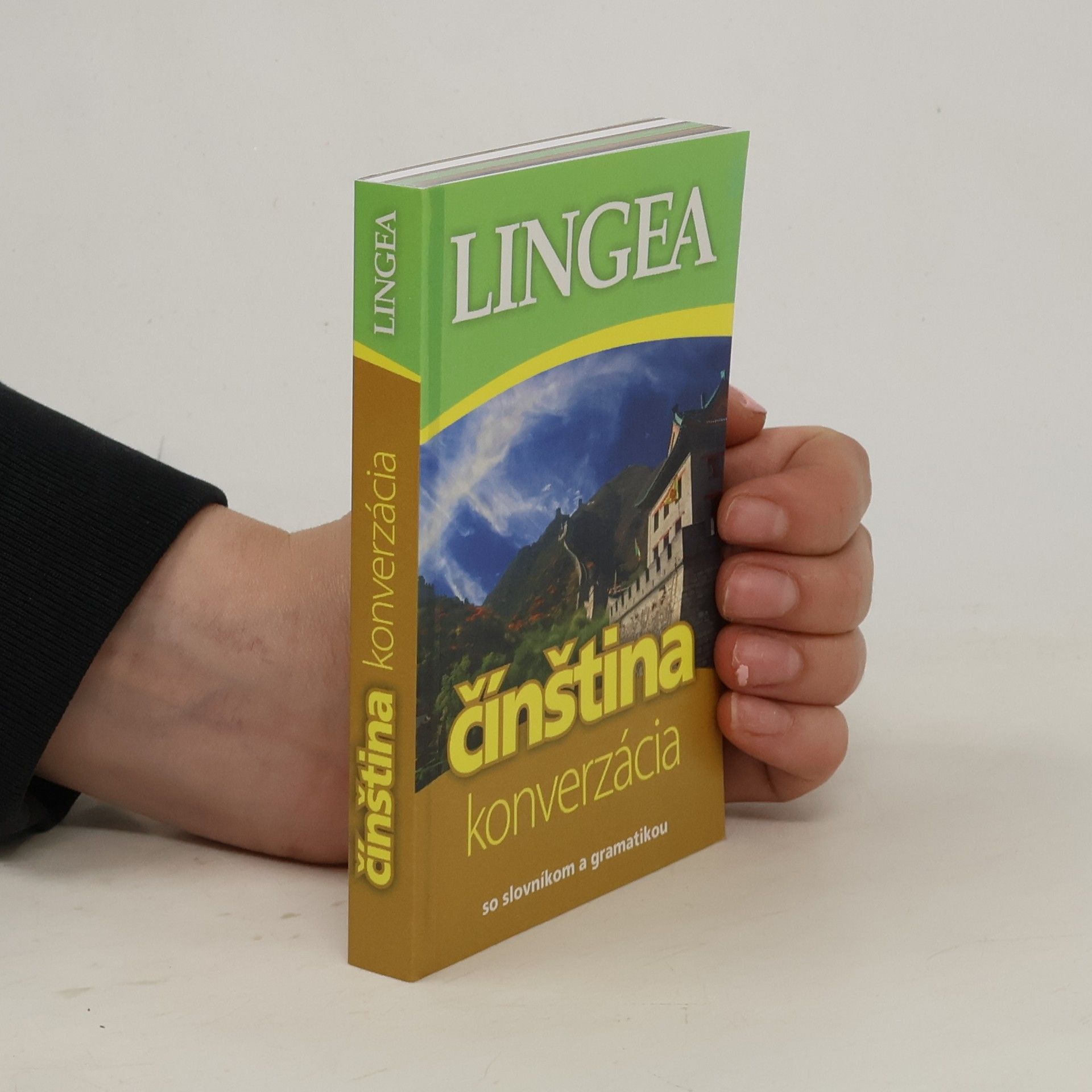 Collectif d'auteurs Čínština konverzácia
