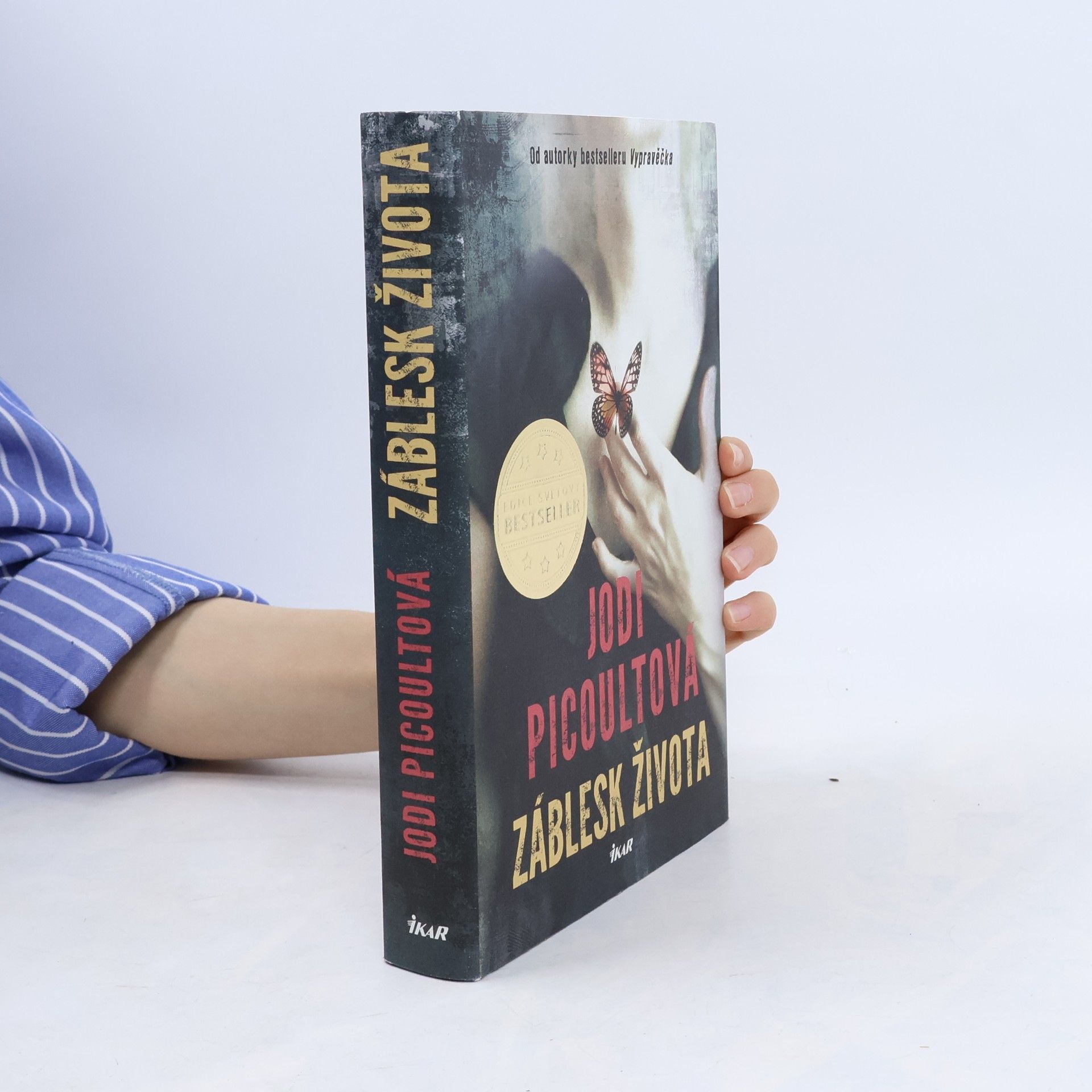 Jodi Picoult Záblesk života