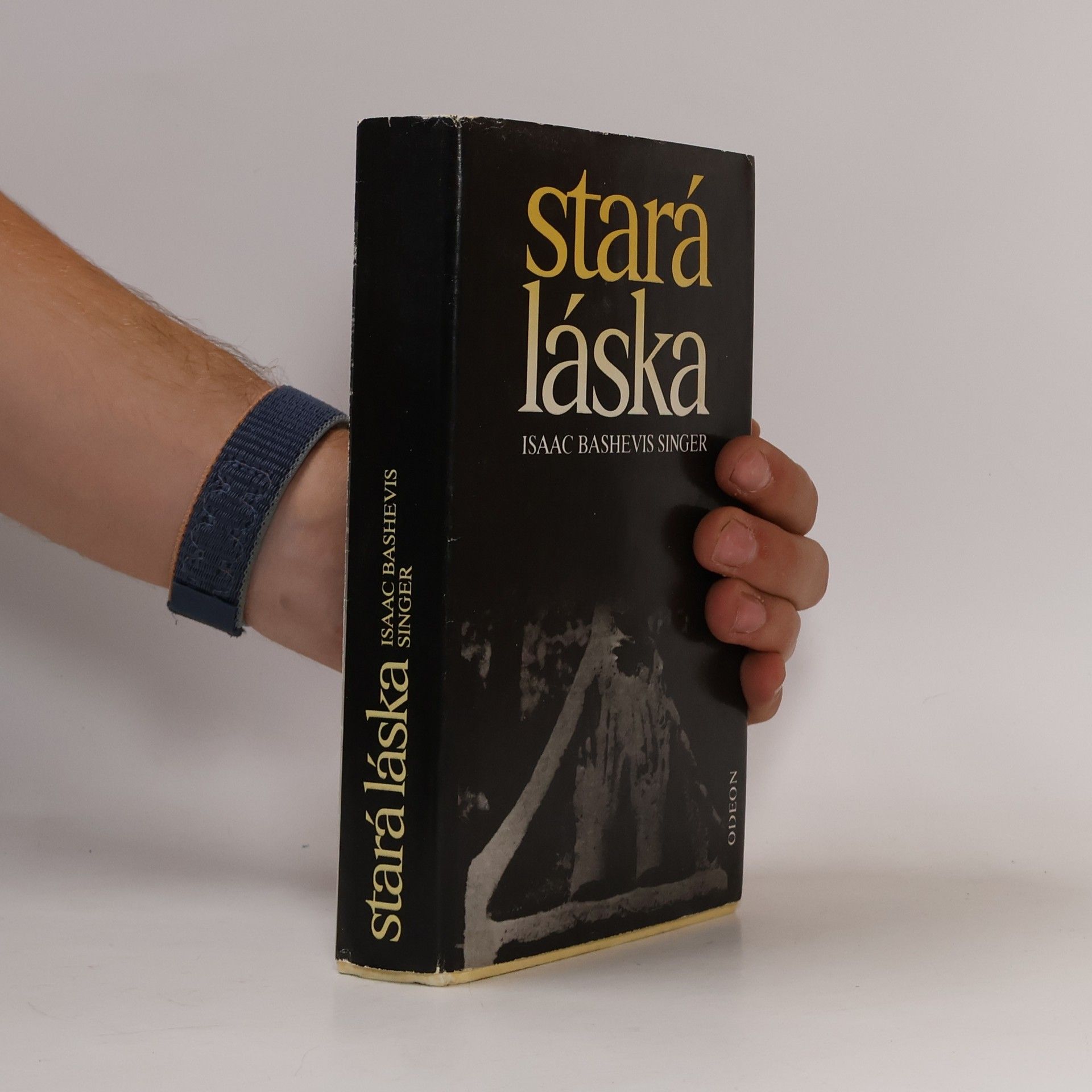 Isaac Bashevis Singer Stará láska