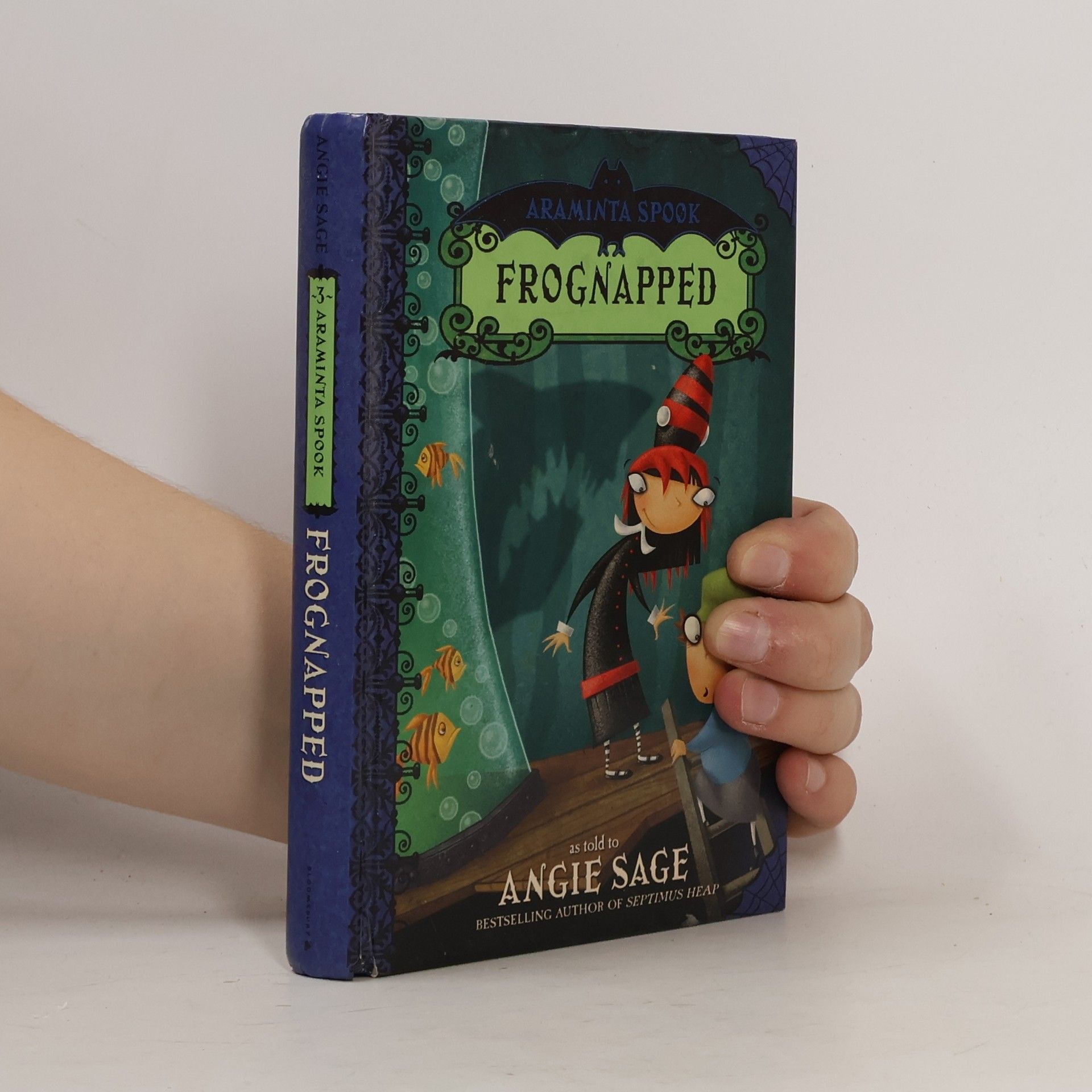 Angie Sage Frognapped