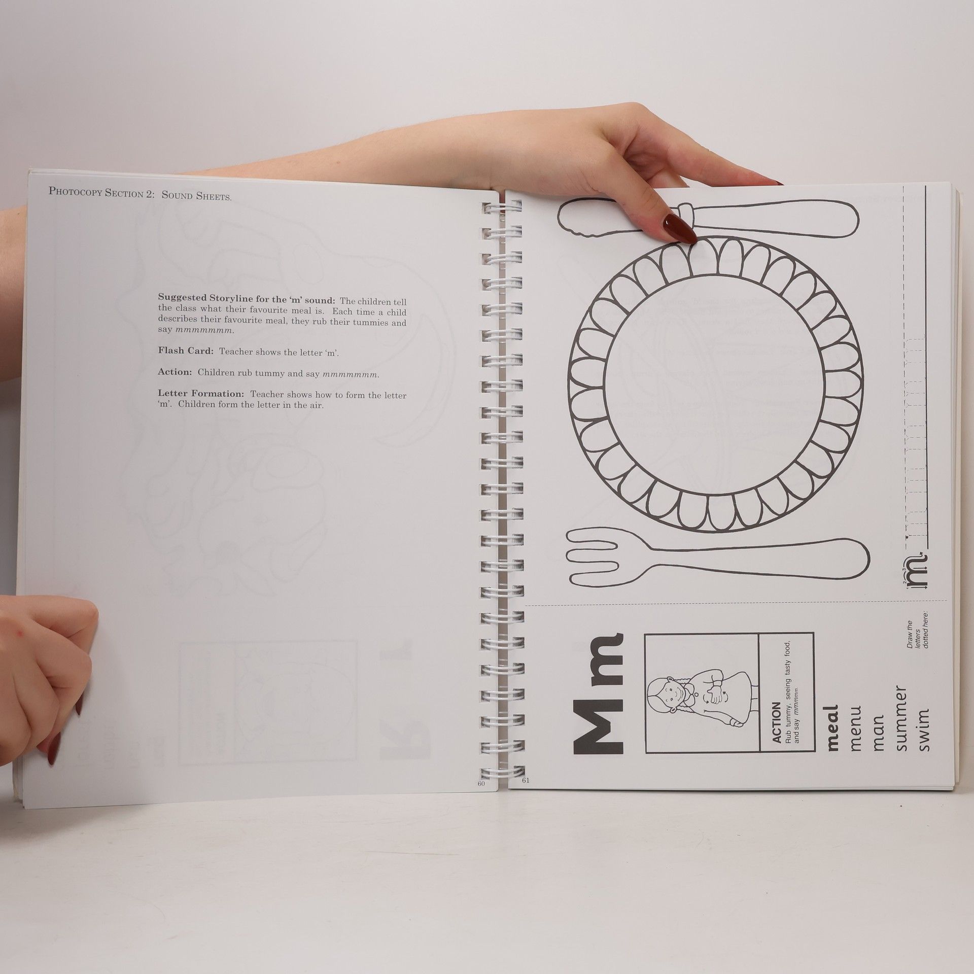 Sue Lloyd The Phonics Handbook