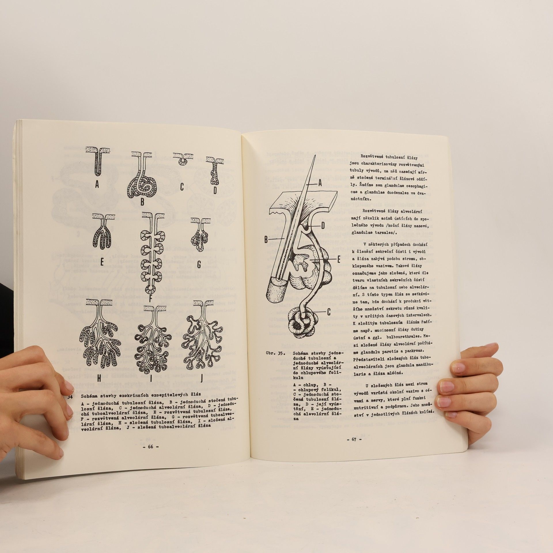 Drahomír Horký Veterinární histologie