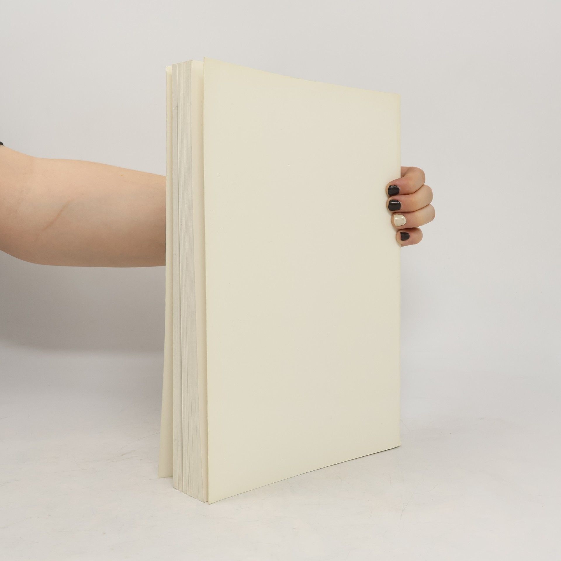 Autorenkollektiv Joseph Beuys.Skulpturen und Objekte