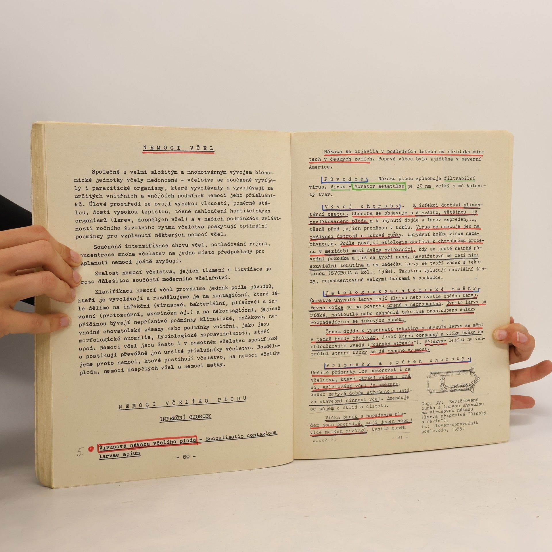 Various authors Nemoci Včel