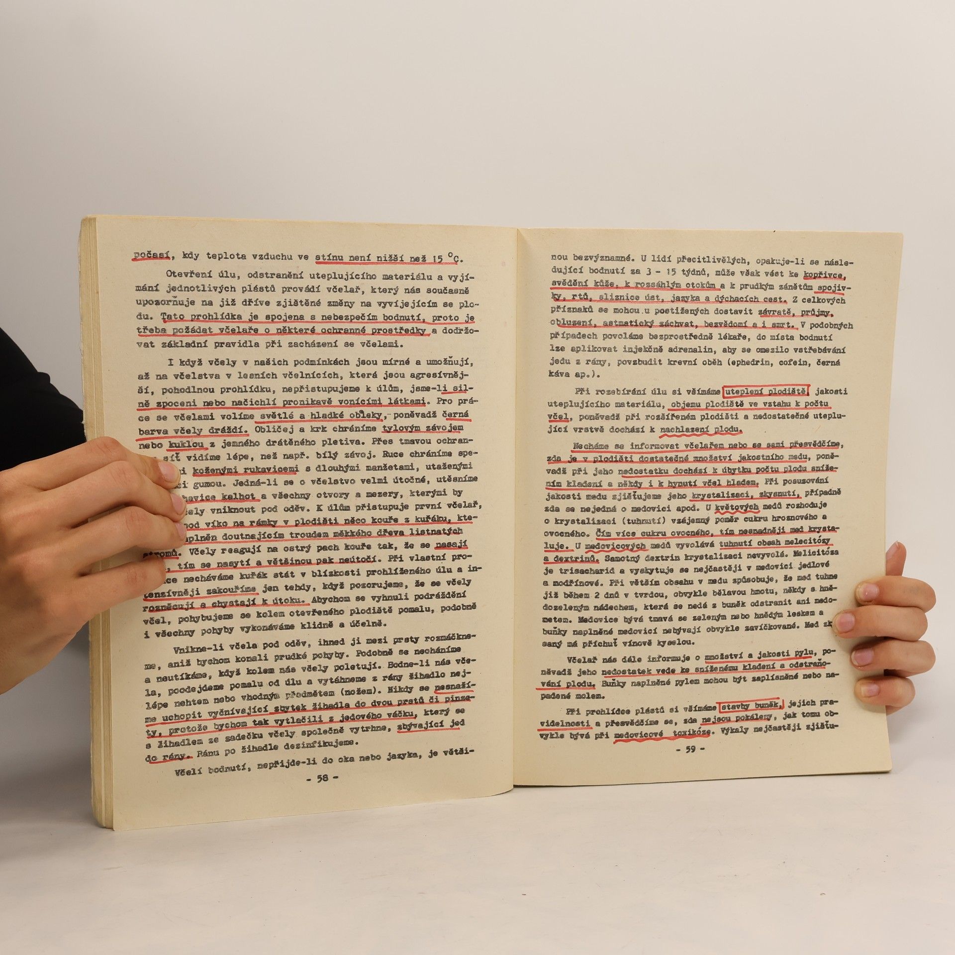 Various authors Nemoci Včel