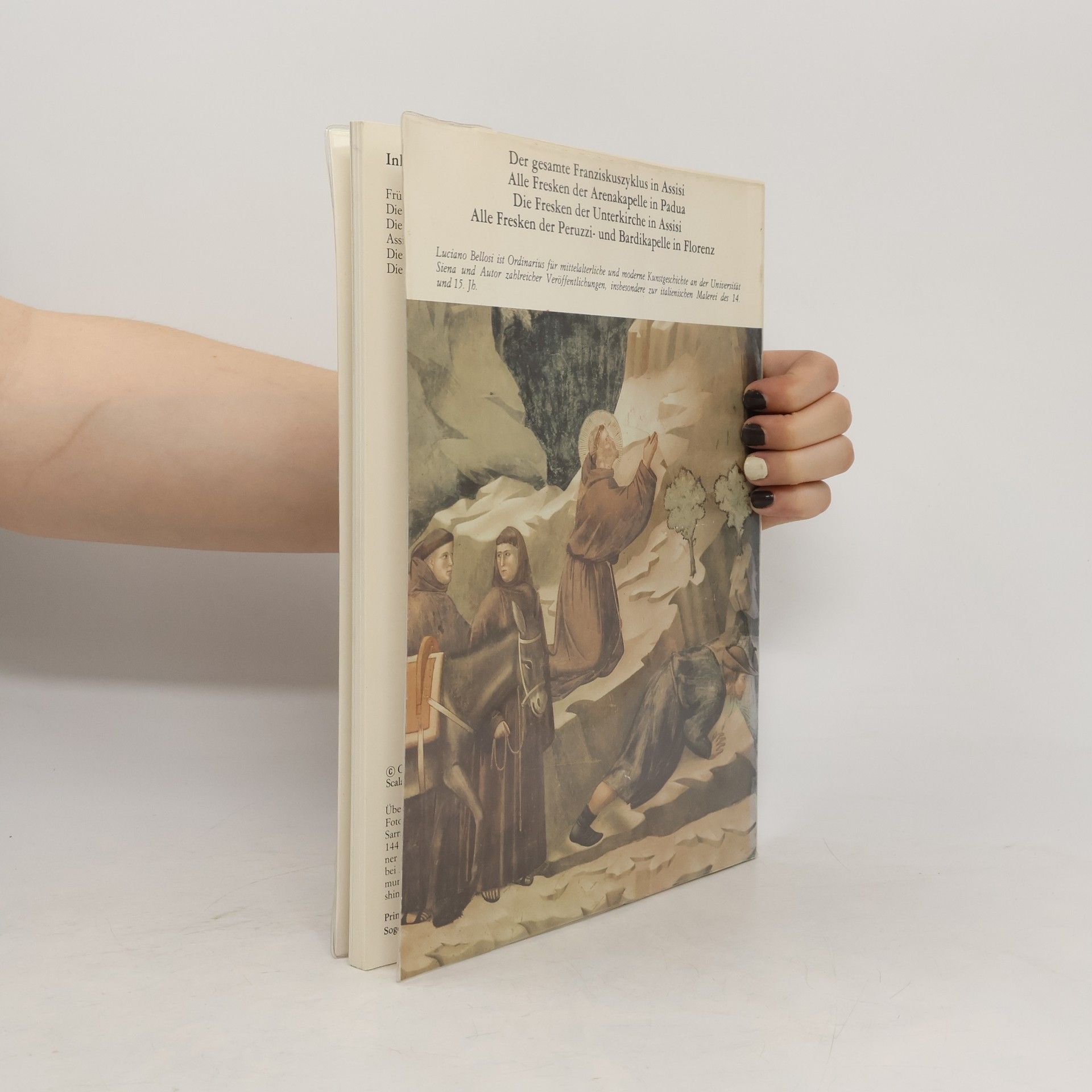 Autorenkollektiv Giotto. Das malerische Gesamtwerk
