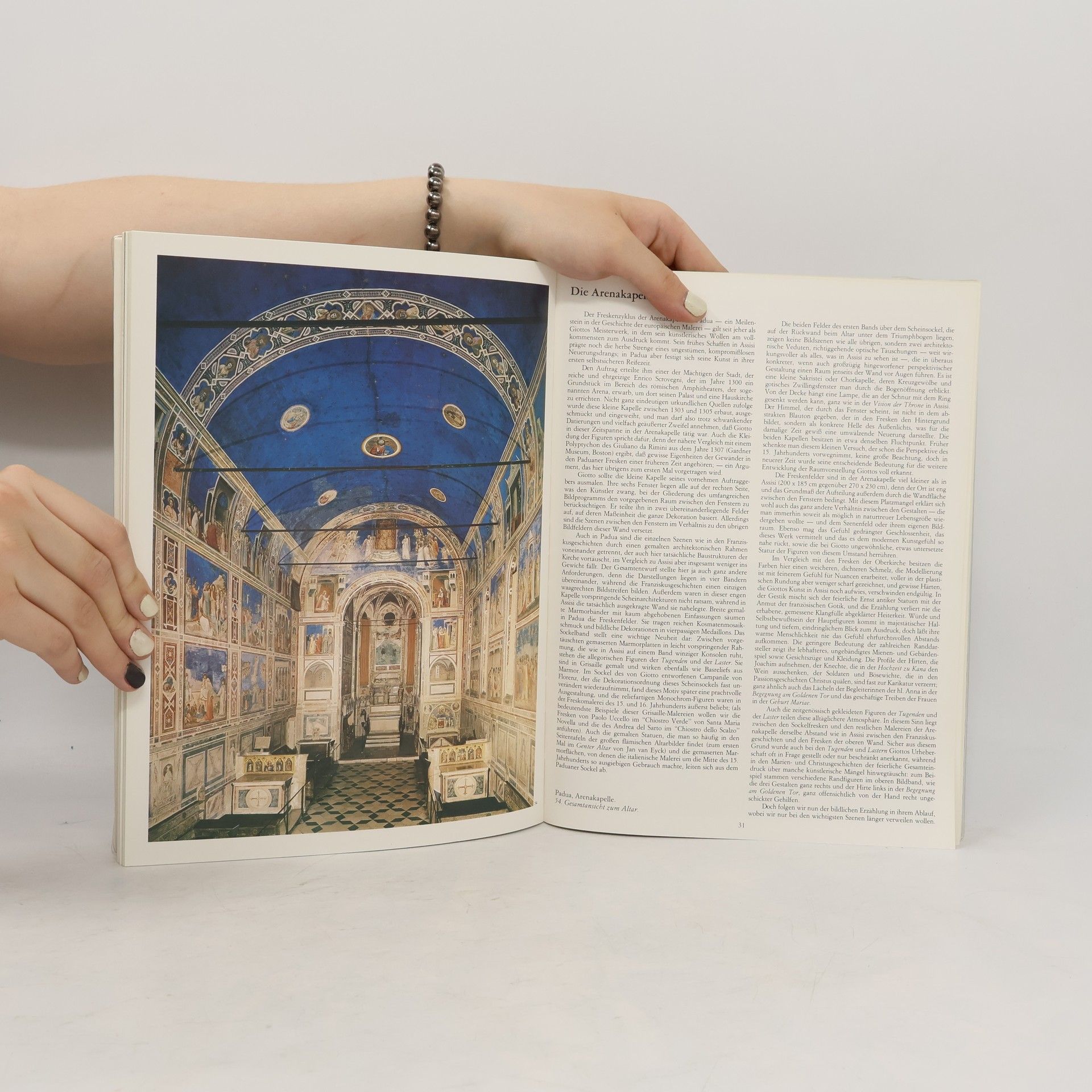 Autorenkollektiv Giotto. Das malerische Gesamtwerk