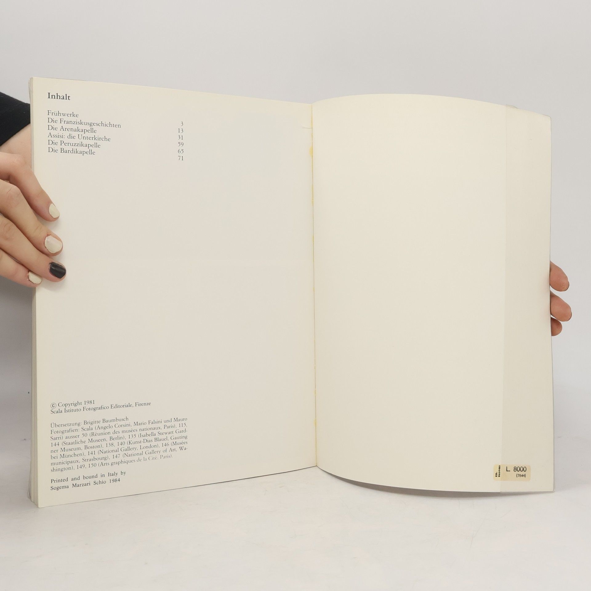 Autorenkollektiv Giotto. Das malerische Gesamtwerk