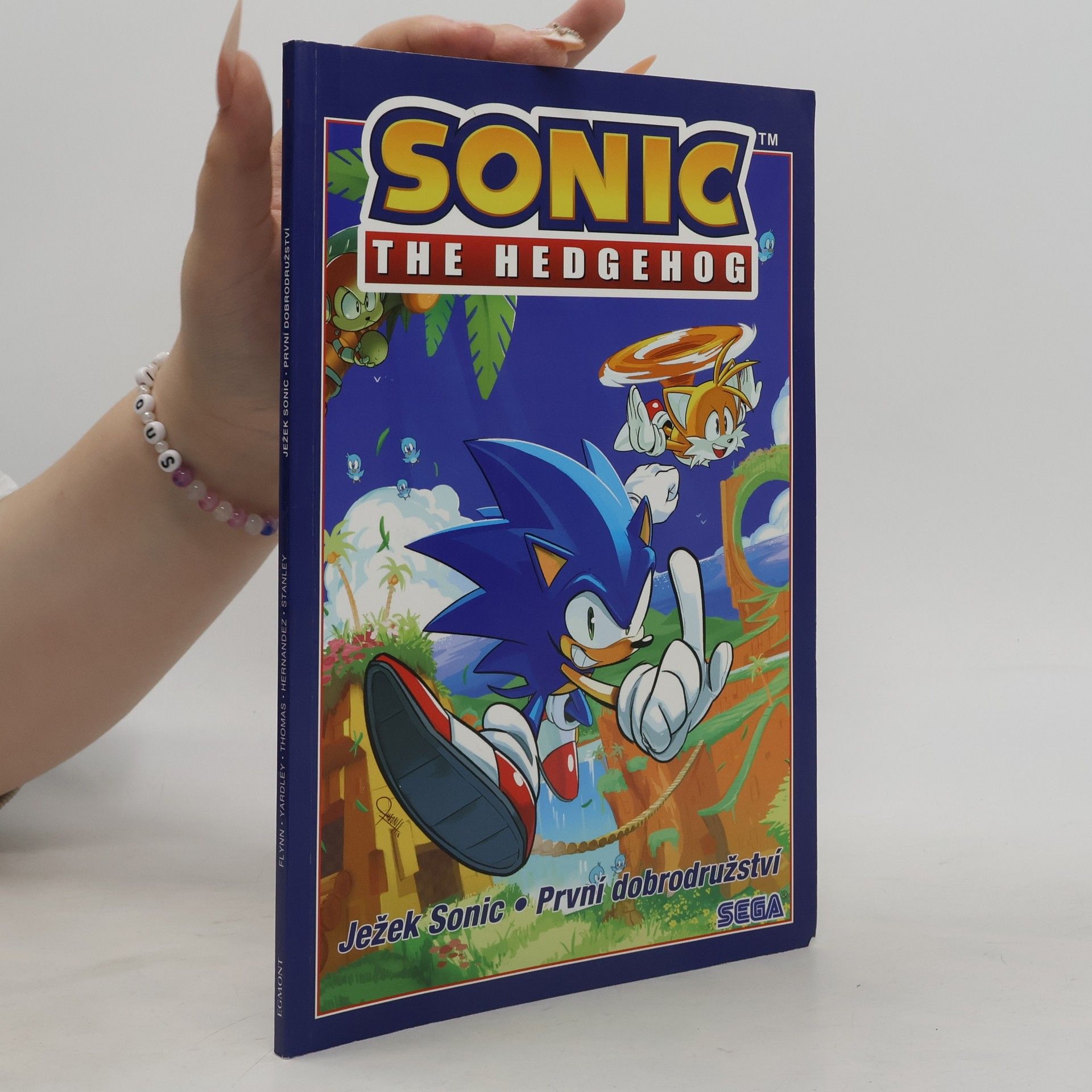 Ian Flynn Ježek Sonic. První dobrodružství