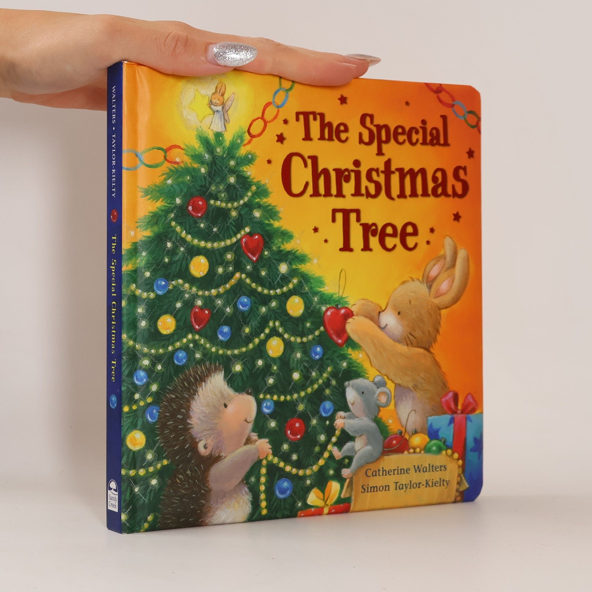 Simon Taylor-Kielty The Special Christmas Tree