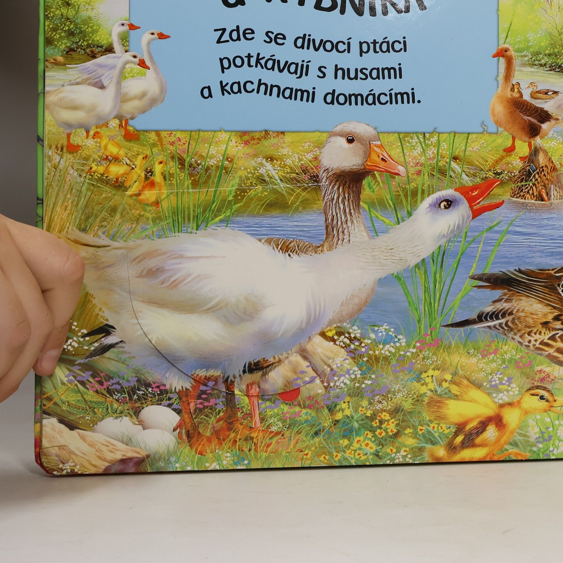 Kolektiv autorů Zvířátka na statku - Tato kniha mluví