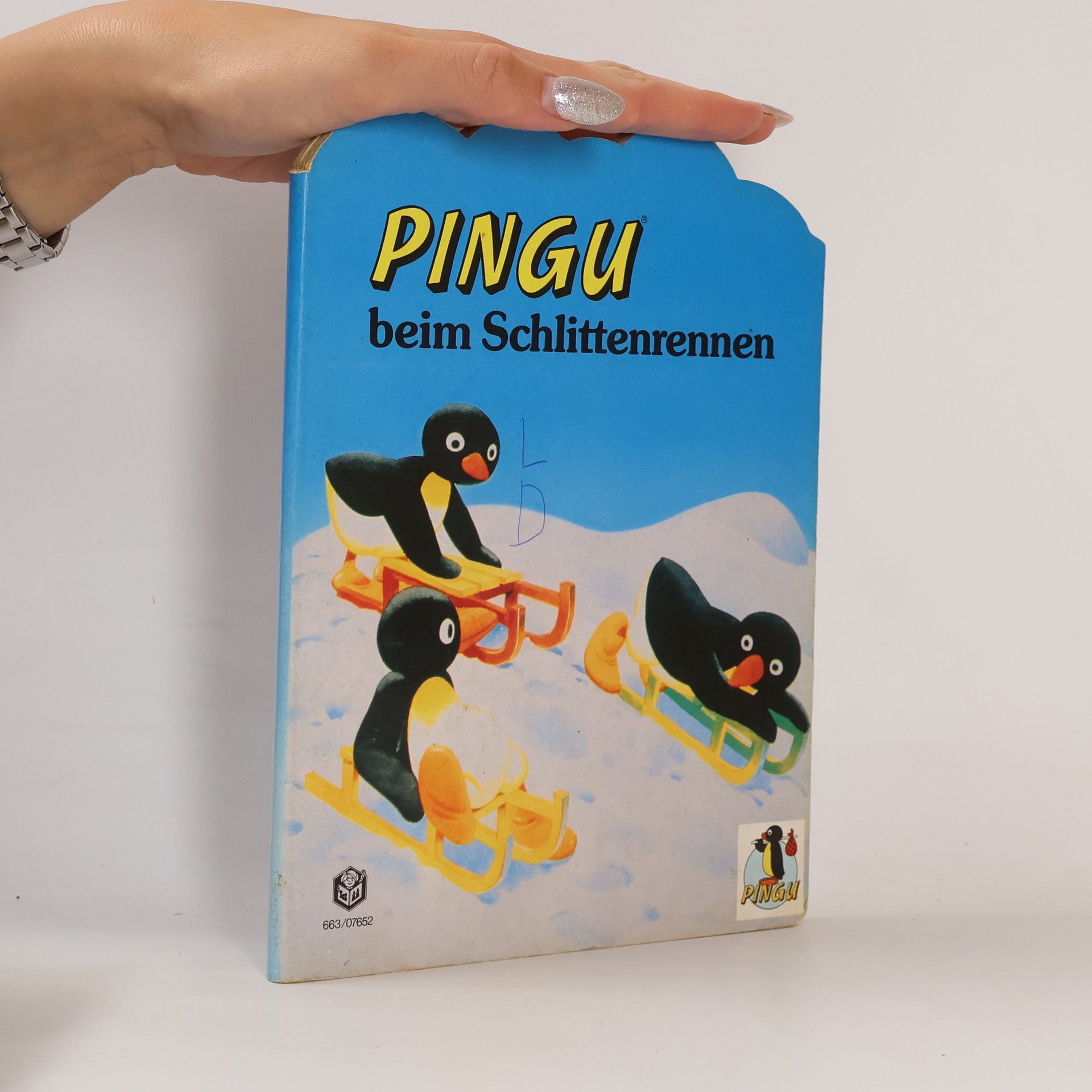 Autorenkollektiv Pingu beim Schlittenrennen