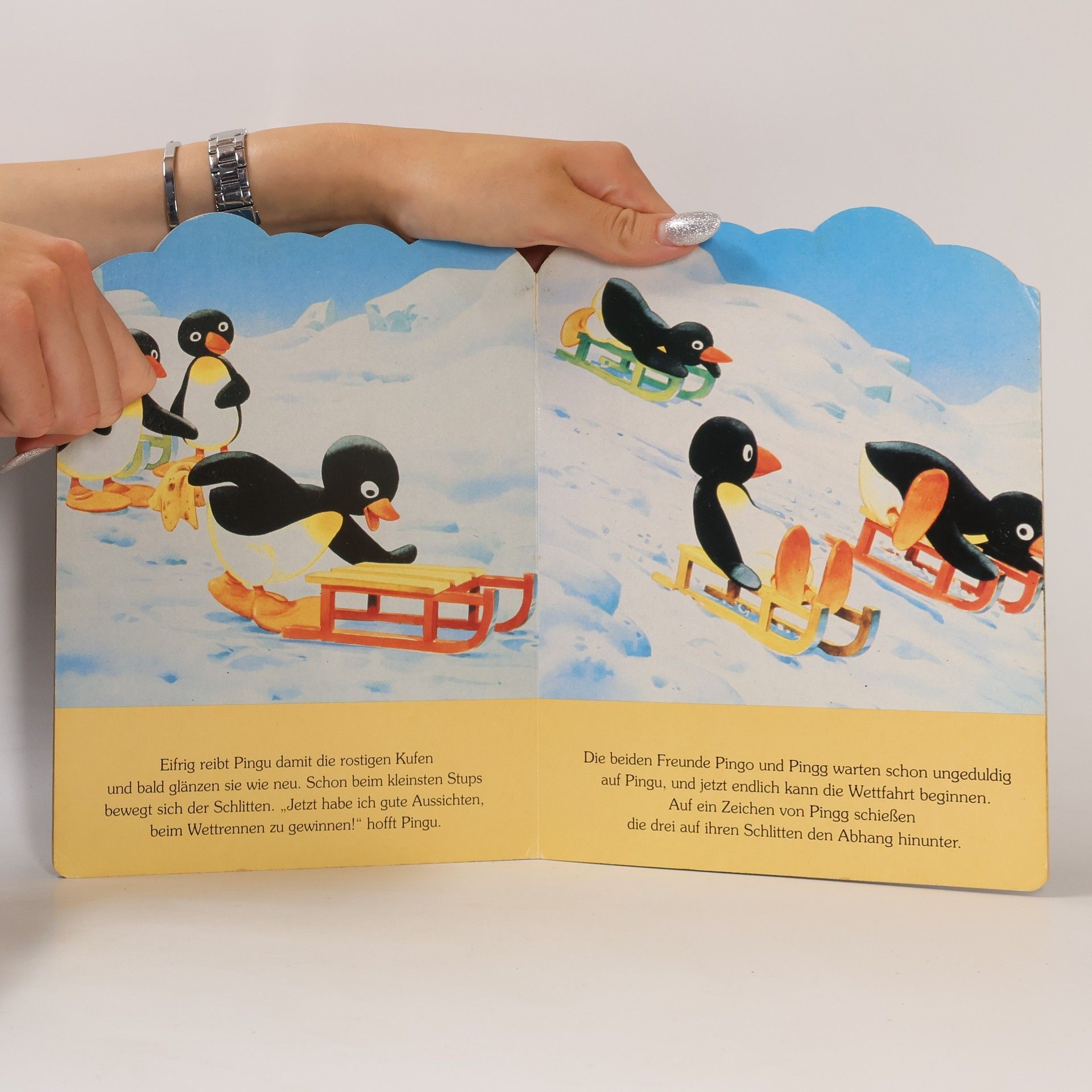 Autorenkollektiv Pingu beim Schlittenrennen