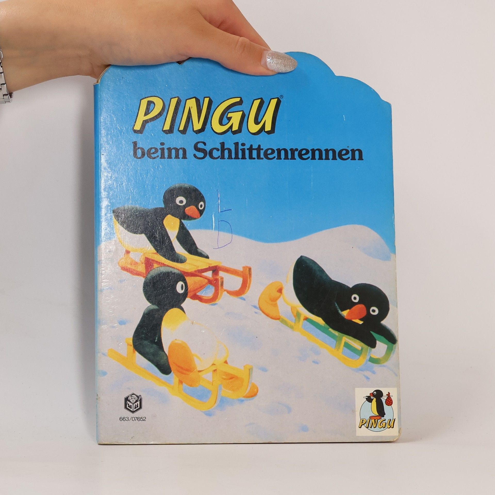 Autorenkollektiv Pingu beim Schlittenrennen