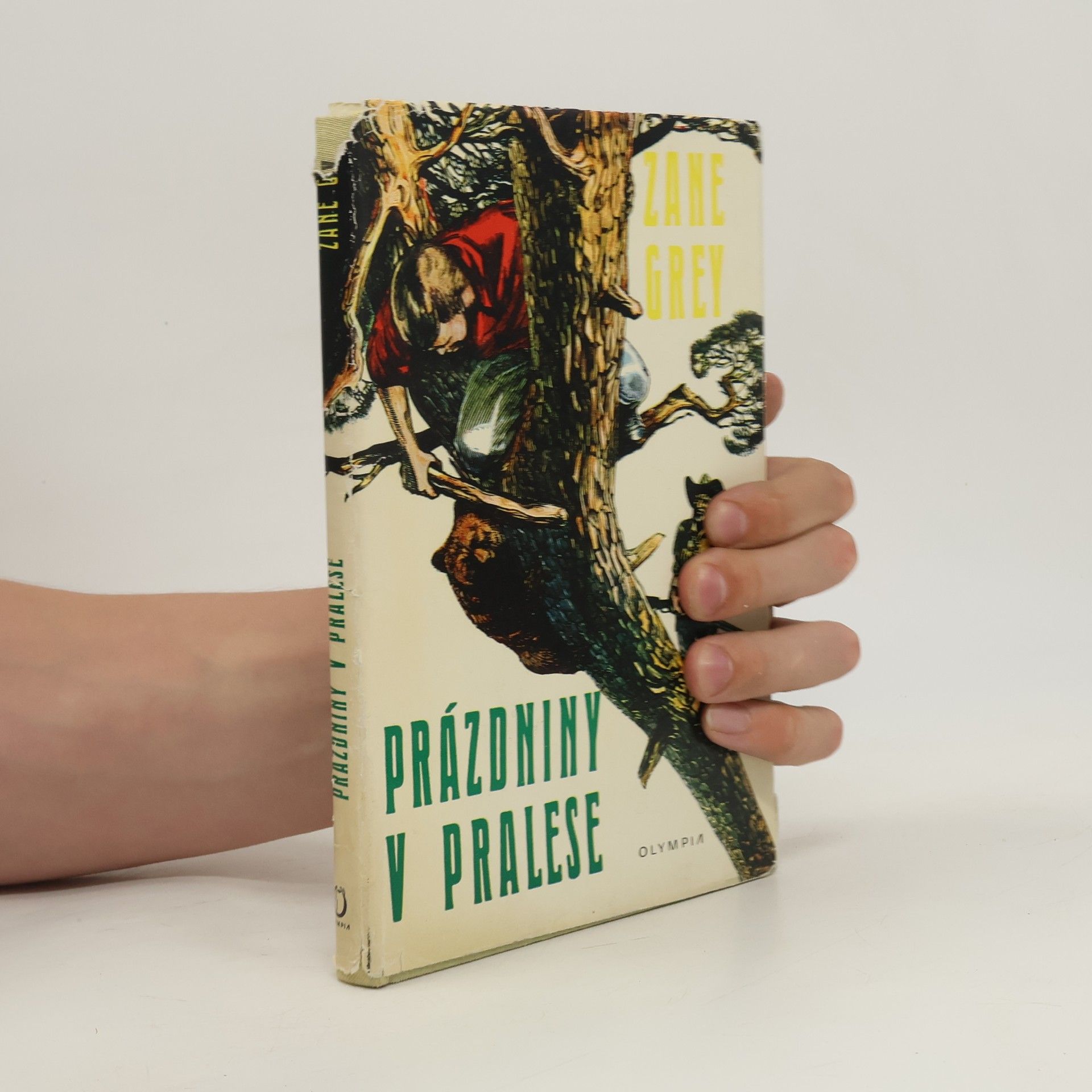Zane Grey Prázdniny v pralese