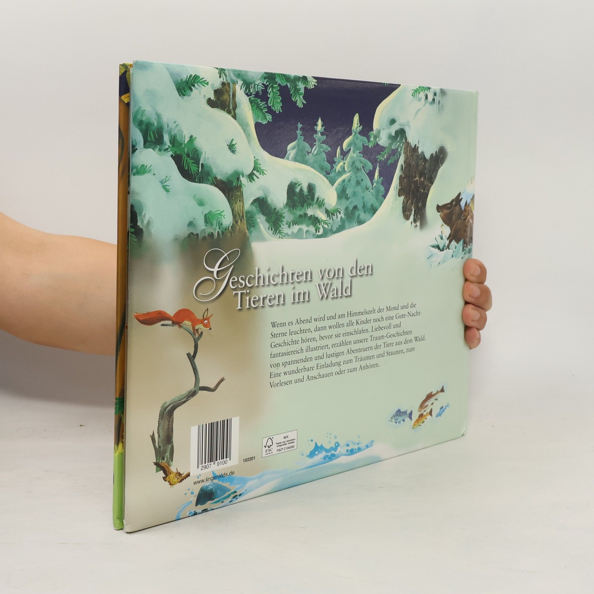 Various authors Träum schön mit... Geschichten von den Tieren im Wald