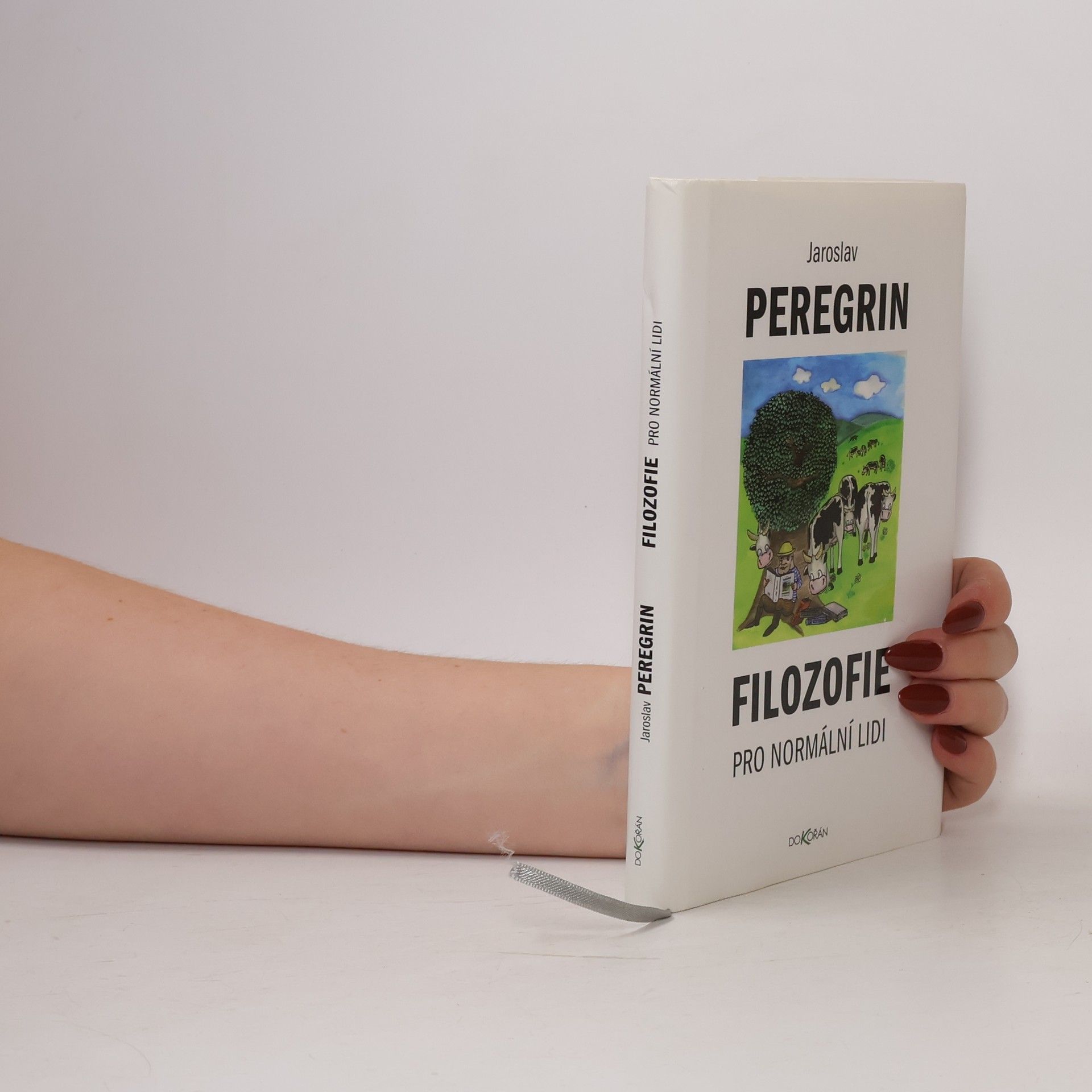 Jaroslav Peregrin Filozofie pro normální lidi