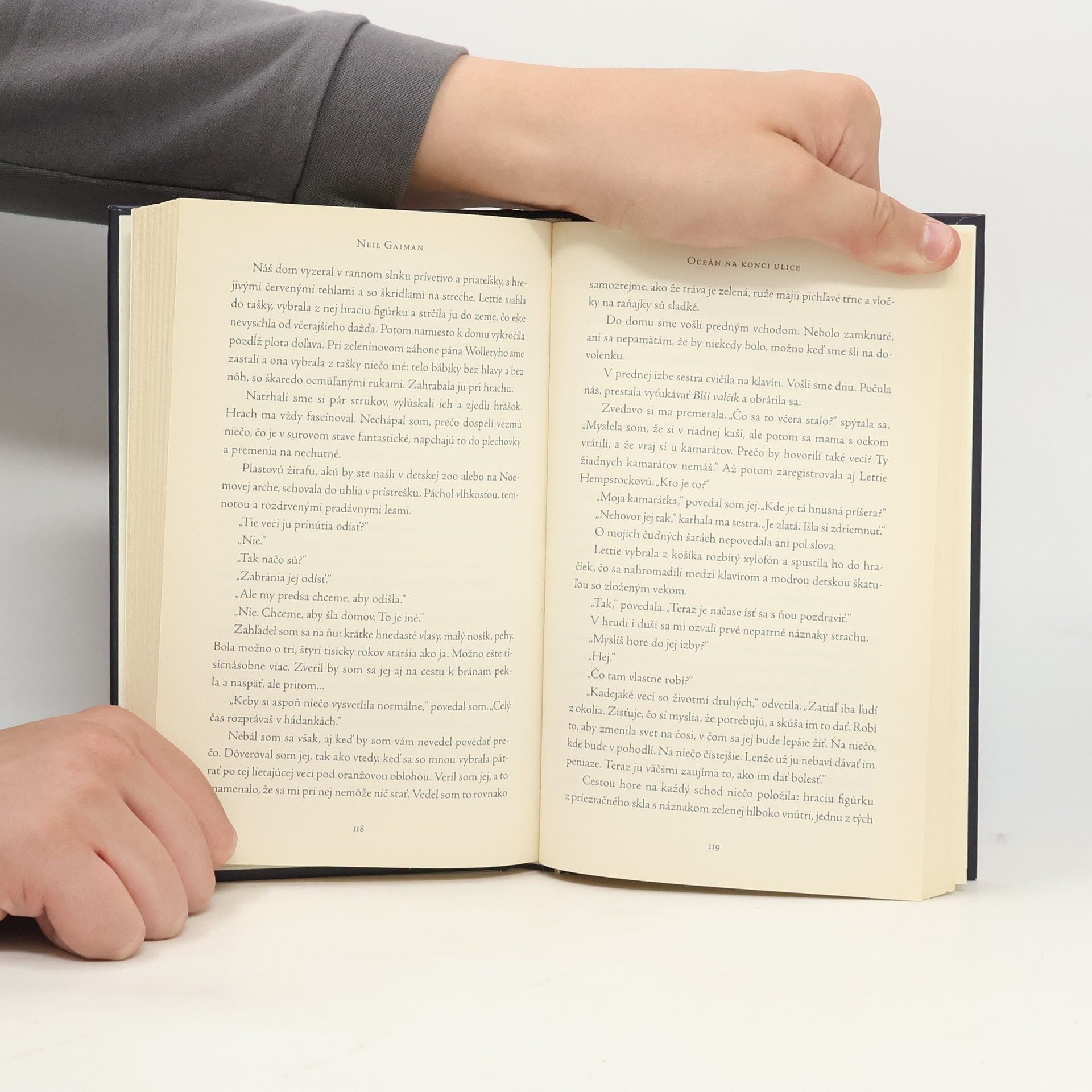 Neil Gaiman Oceán na konci ulice