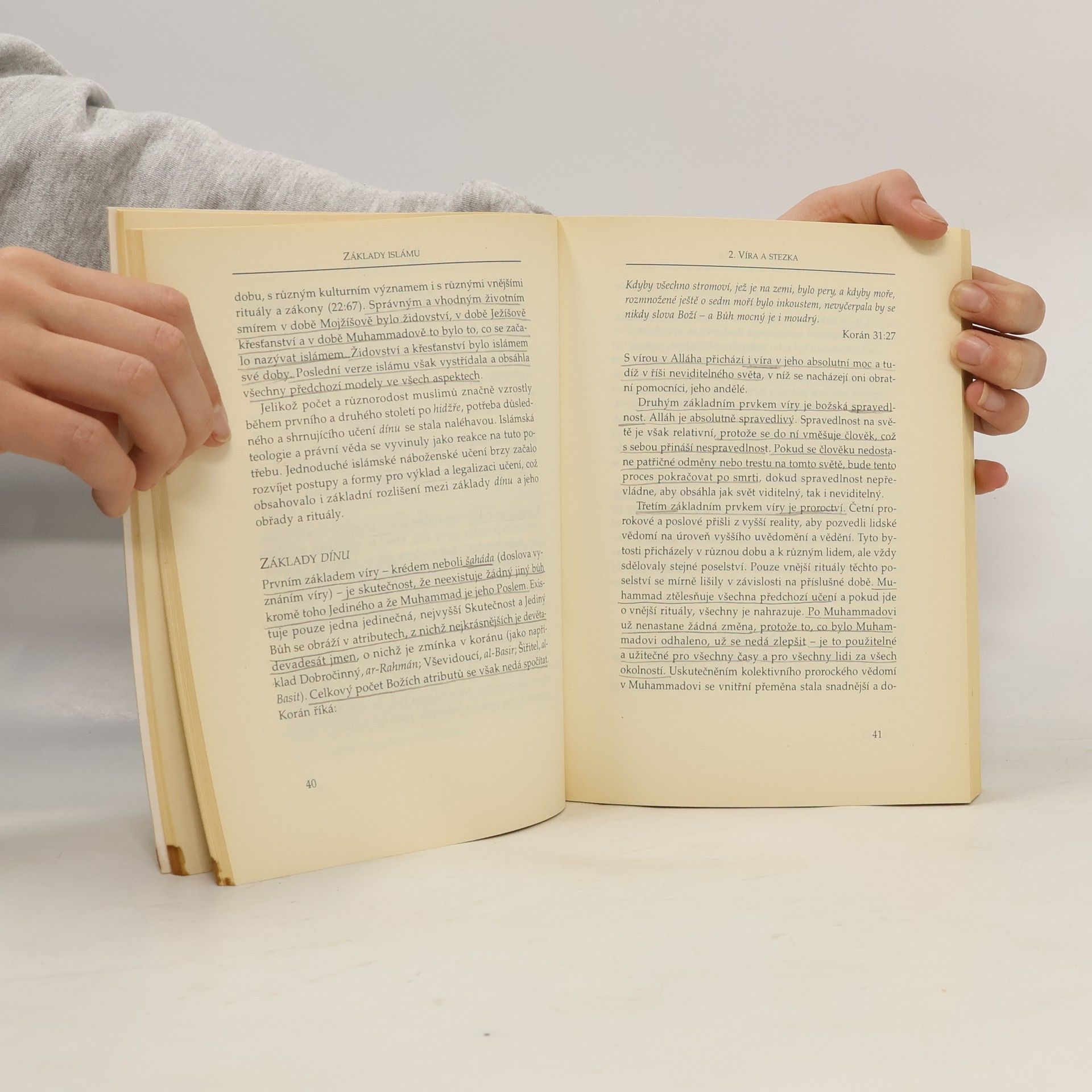 Fadhlalla Haeri Základy islámu. Tradice, historie, vývoj, současnost