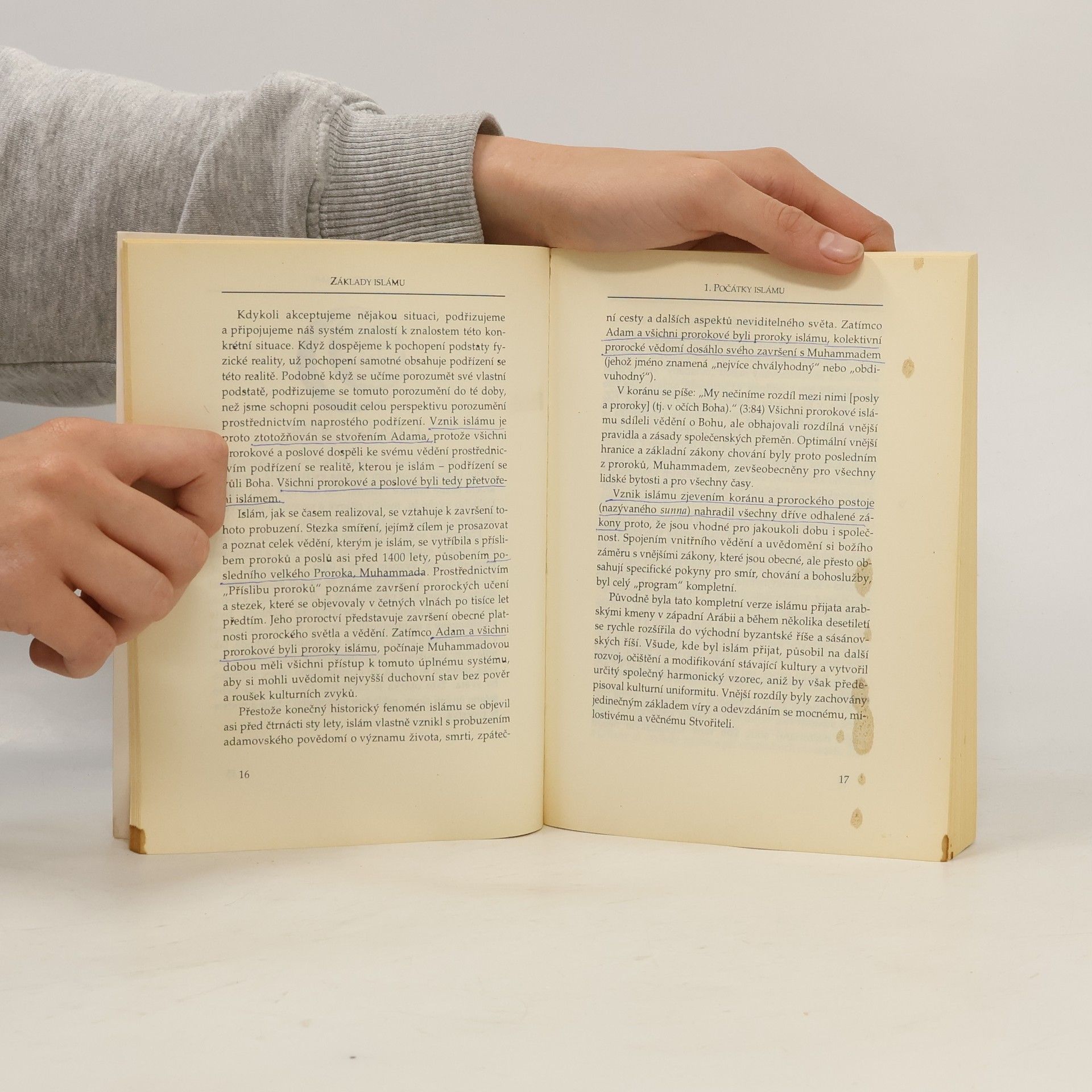 Fadhlalla Haeri Základy islámu. Tradice, historie, vývoj, současnost