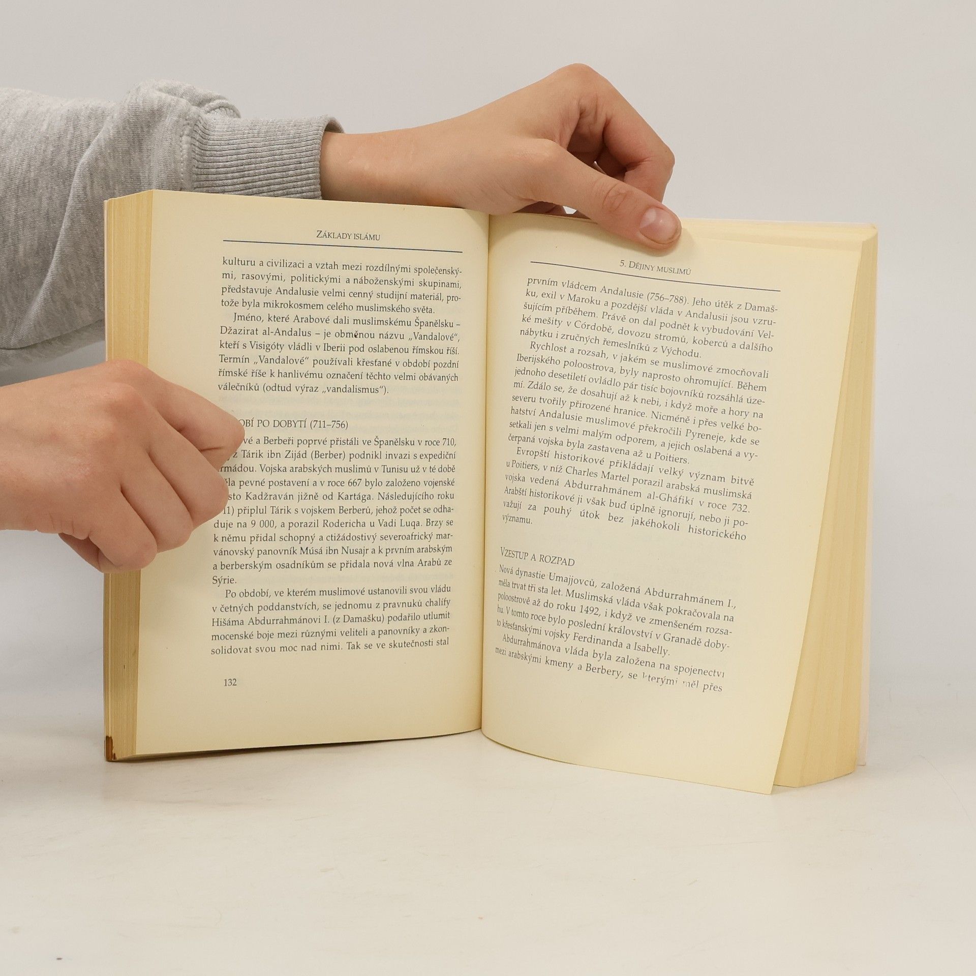 Fadhlalla Haeri Základy islámu. Tradice, historie, vývoj, současnost