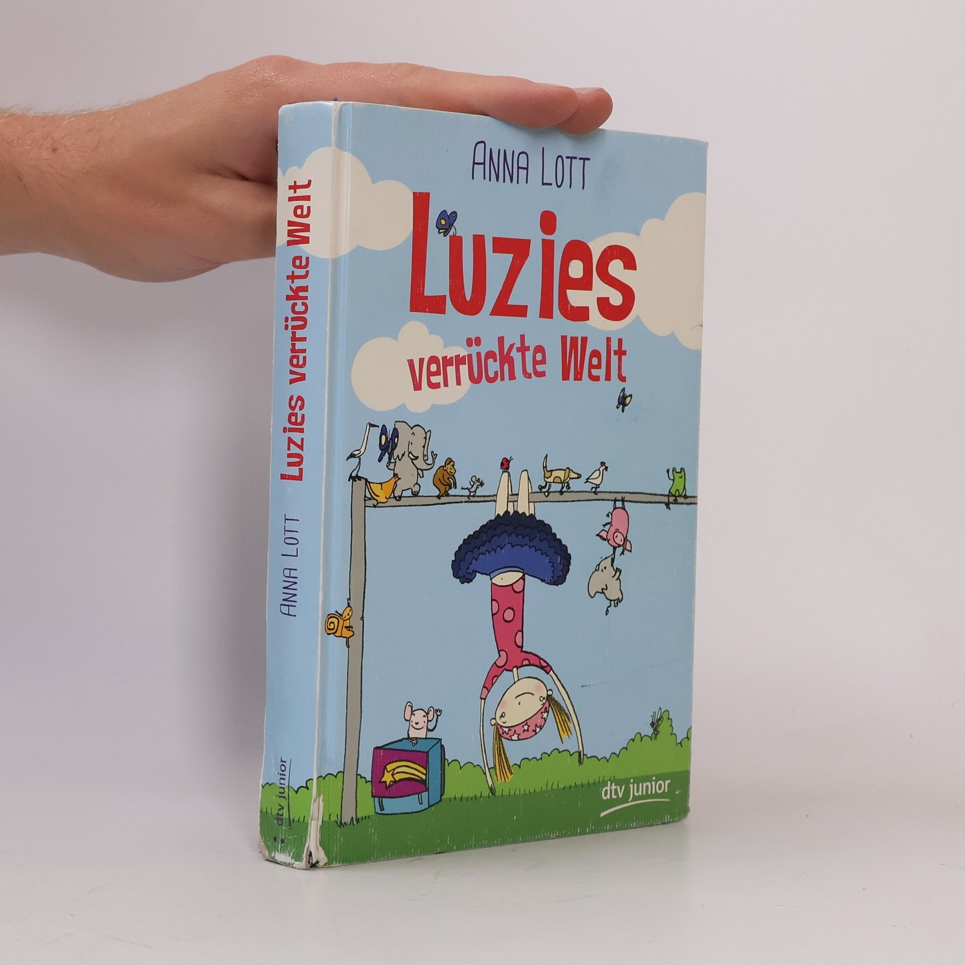 Anna Lott Luzies verrückte Welt