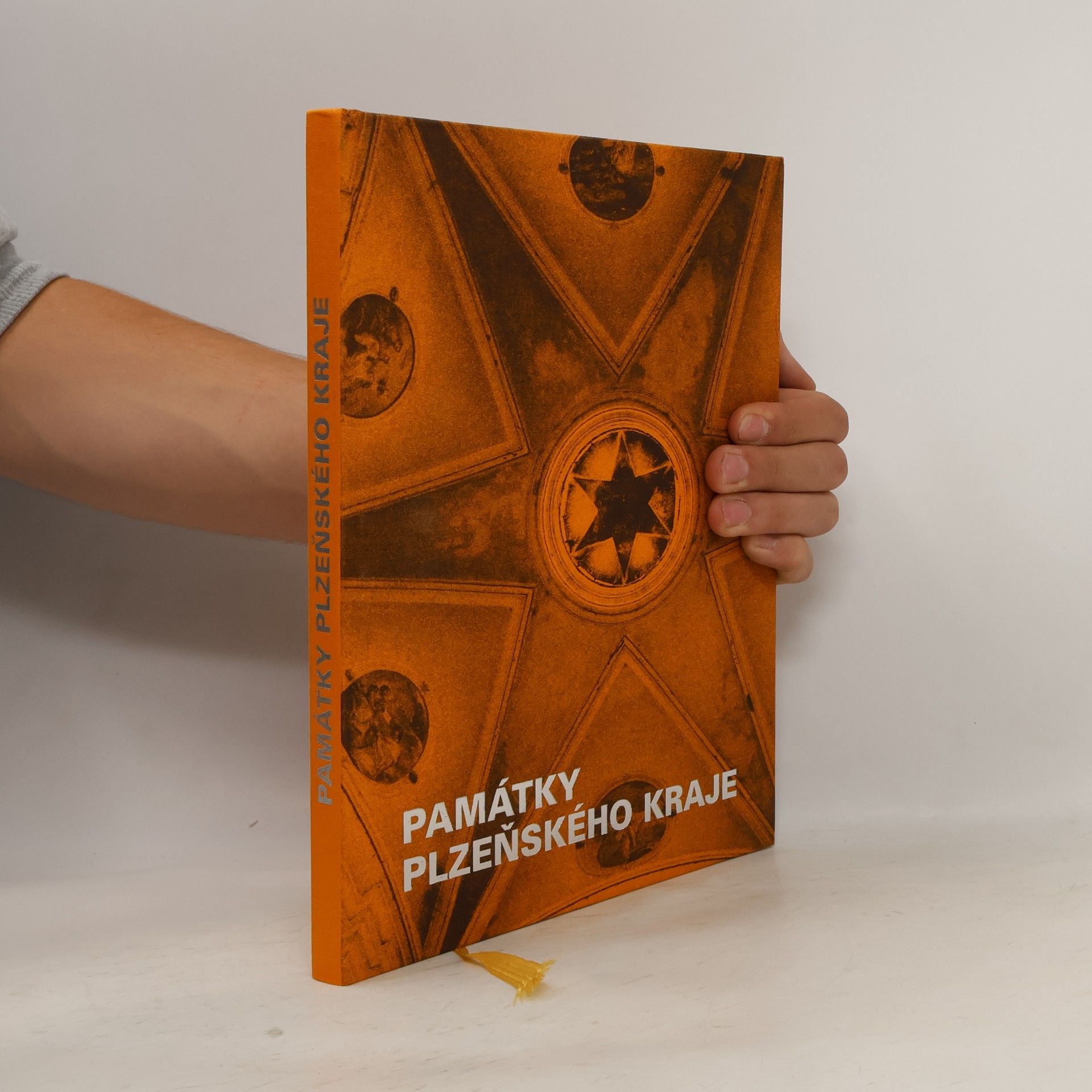 Václav Podestát Památky Plzeňského kraje : koncepce podpory státní památkové péče v Plzeňském kraji