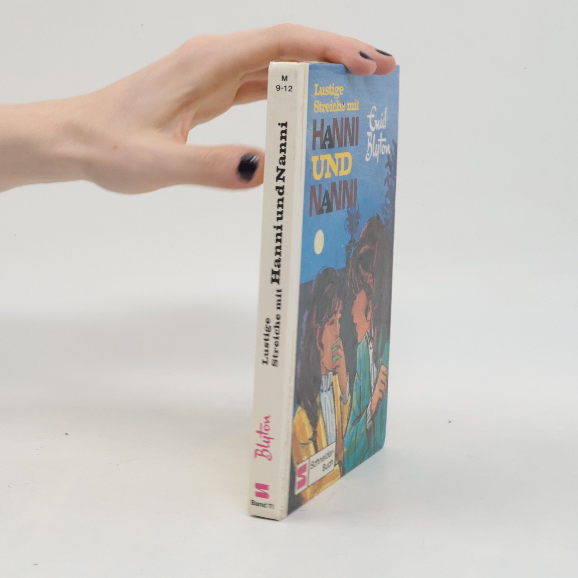 Enid Blyton Lustige Streiche mit Hanni und Nanni