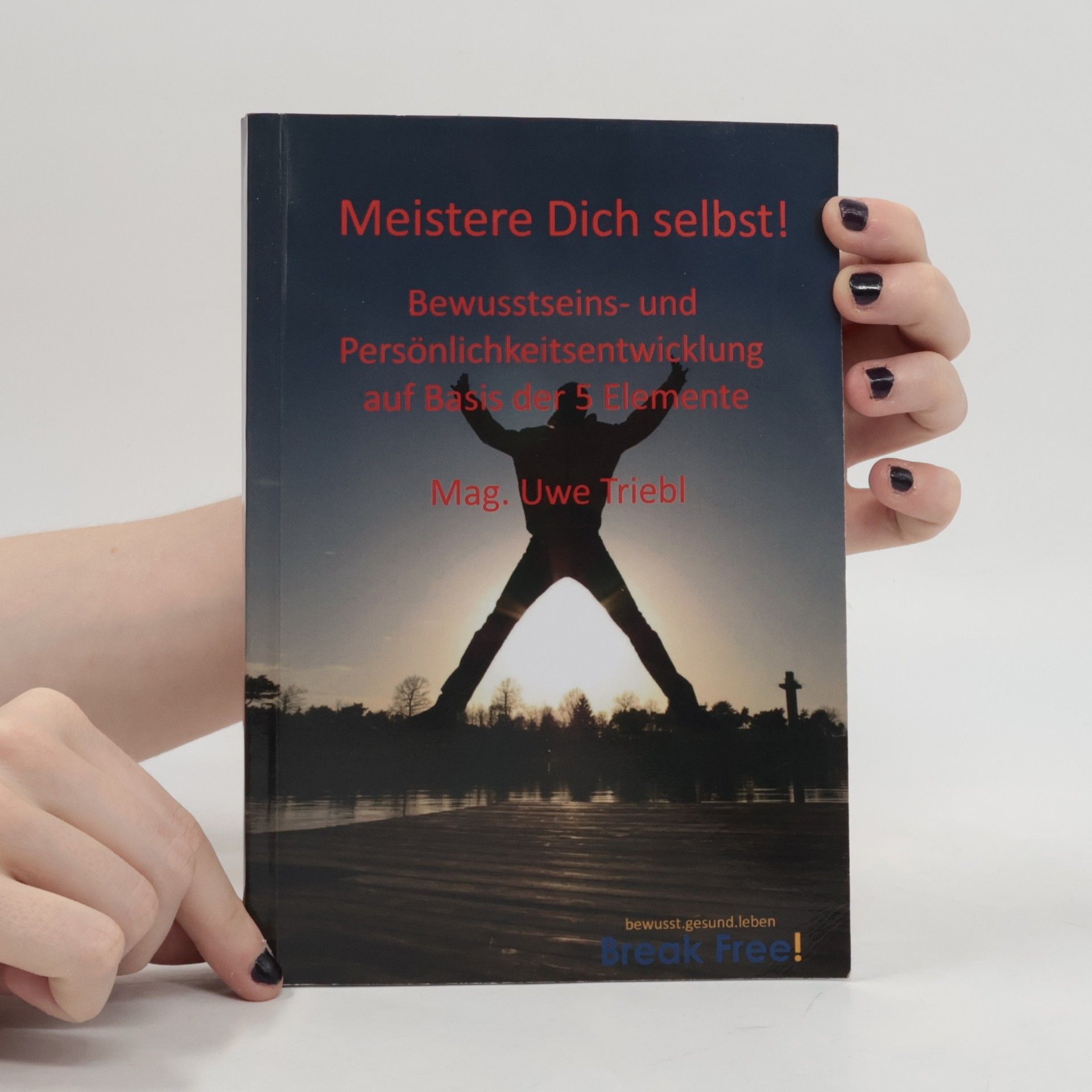 Uwe Triebl Meistere Dich selbst!