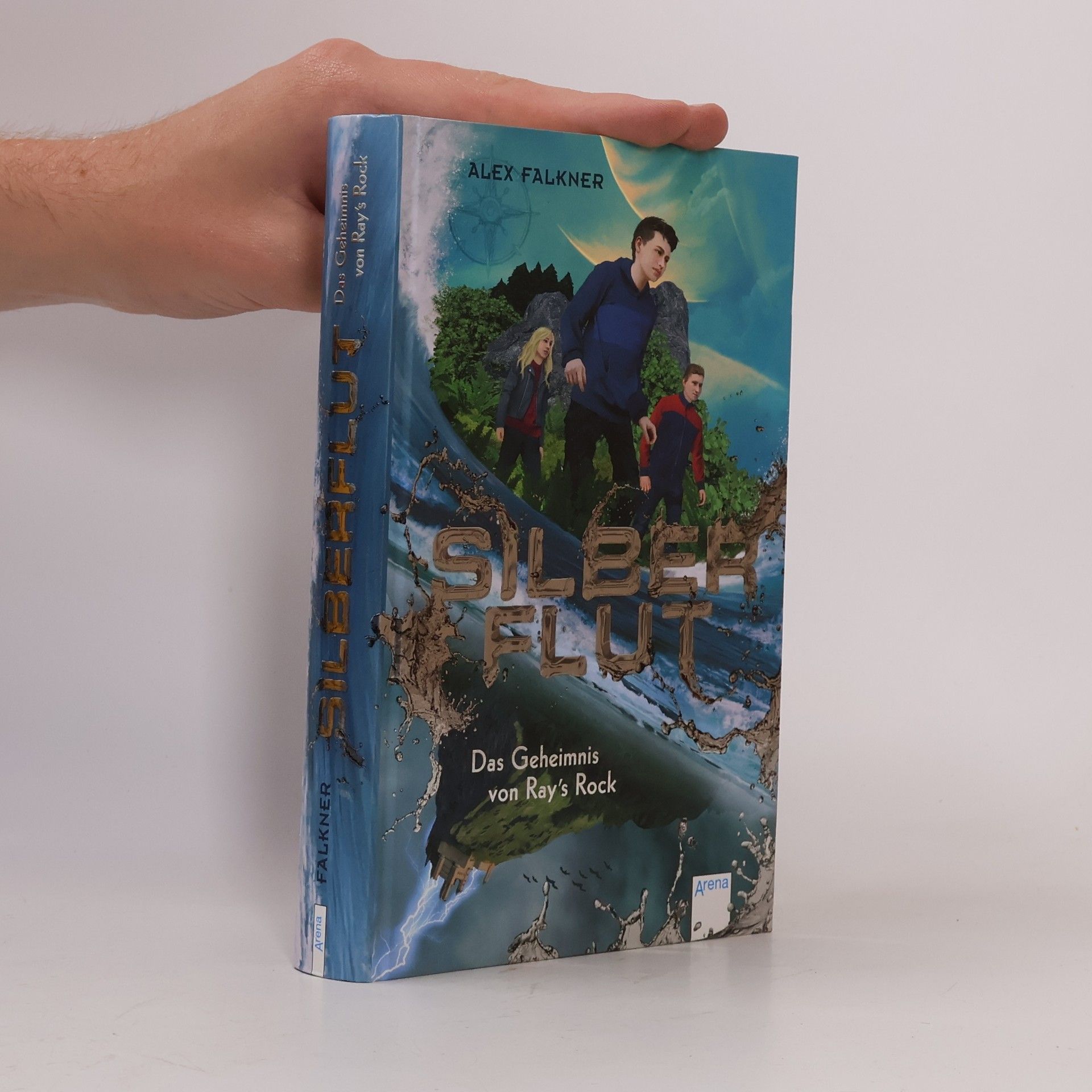 Alex Falkner Silberflut 1: Das Geheimnis von Ray's Rock