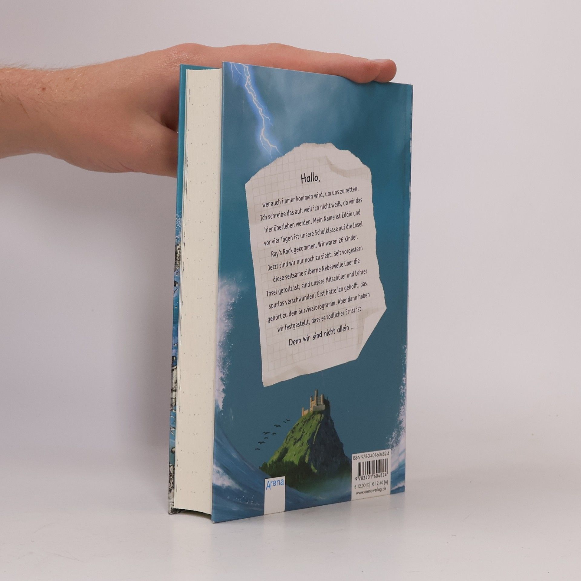 Alex Falkner Silberflut 1: Das Geheimnis von Ray's Rock