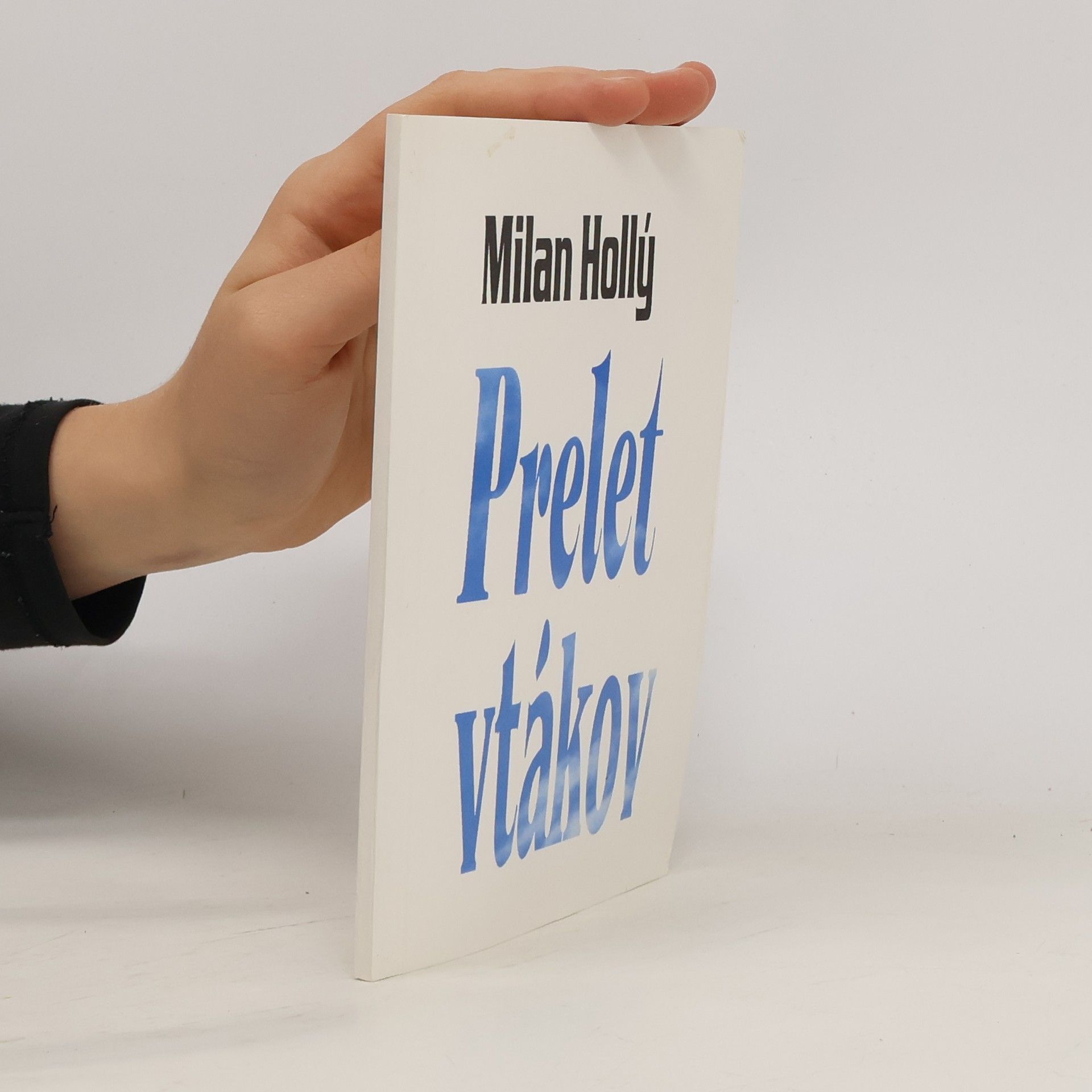 Milan Hollý Prelet vtákov