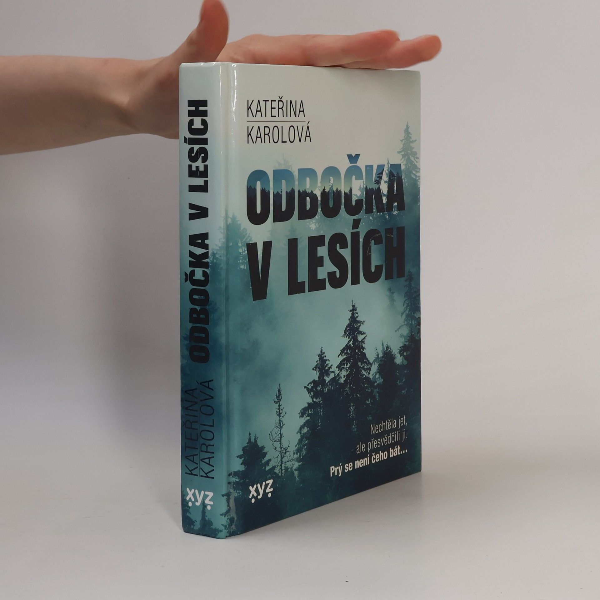 Odbočka v lesích