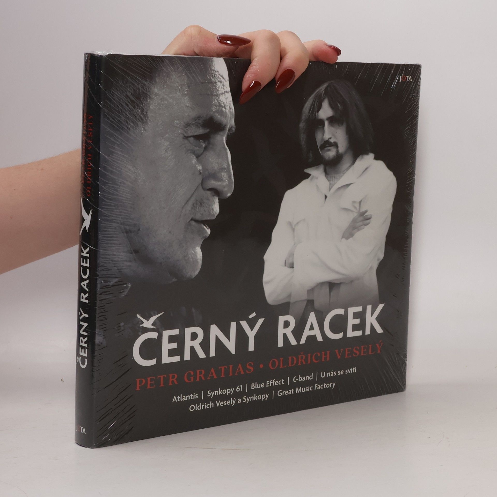 Oldřich Veselý Černý racek