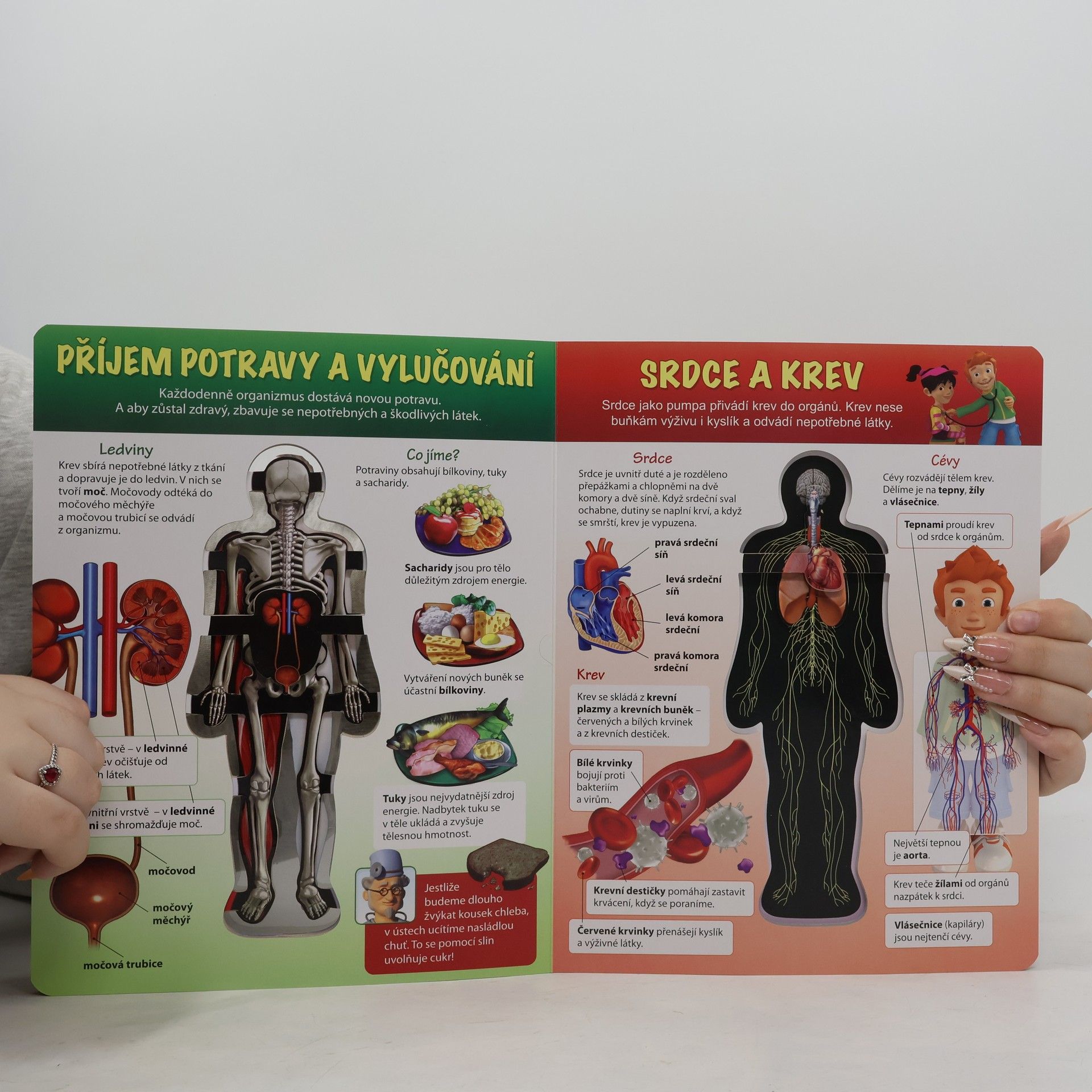 Svjatoslav Bulackij Jak funguje naše tělo