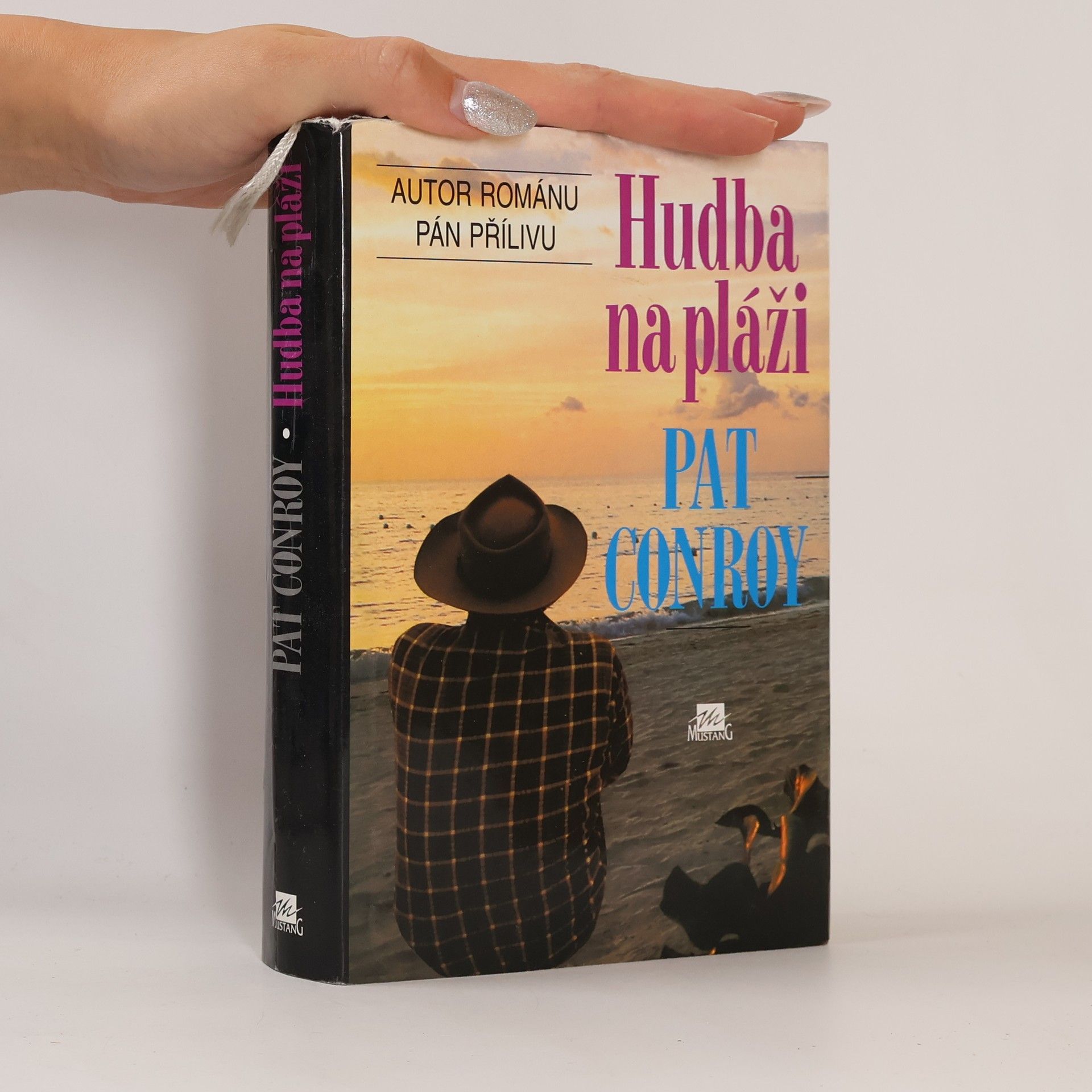 Marie Jungmannová Hudba na pláži