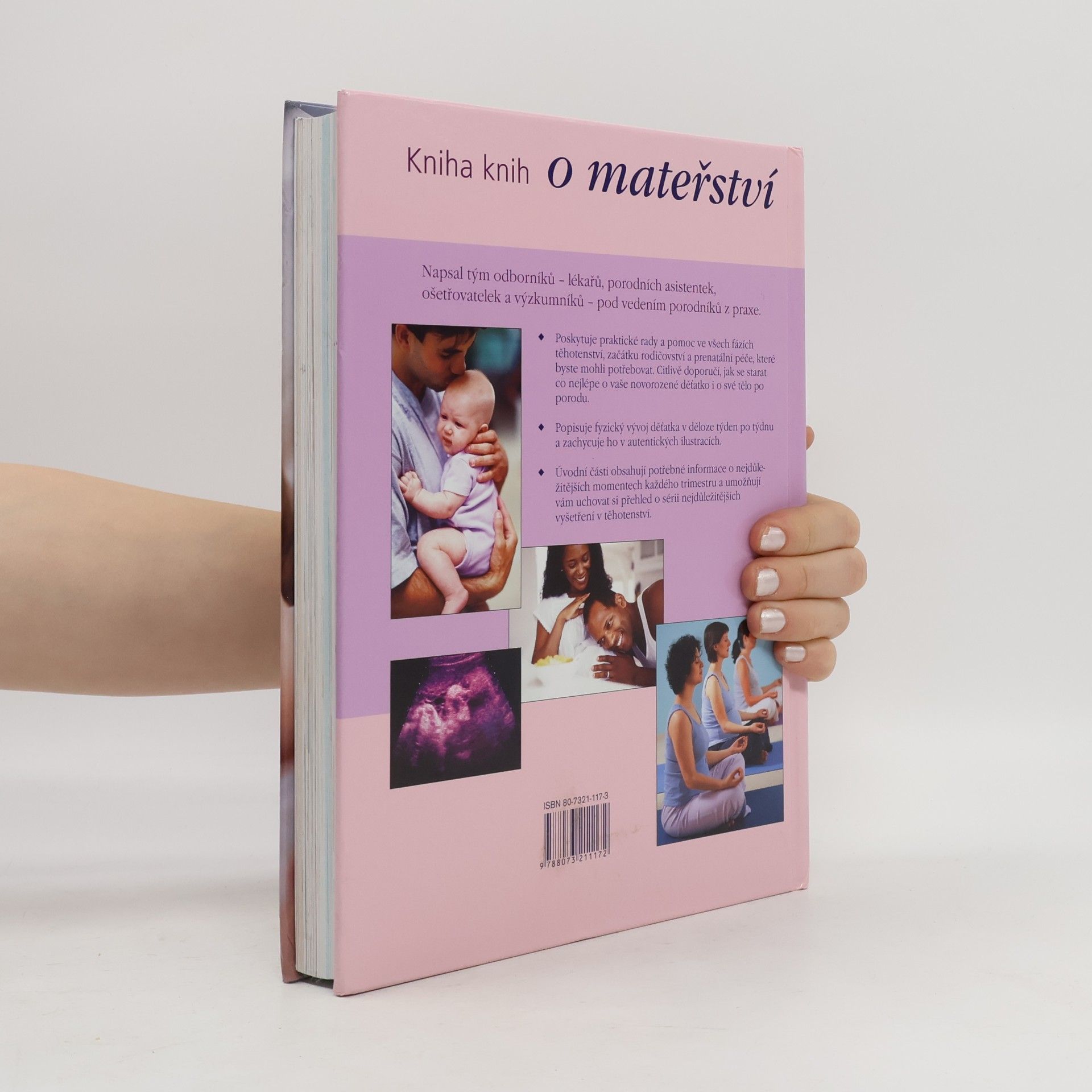 Anne Deans O mateřství : kniha knih