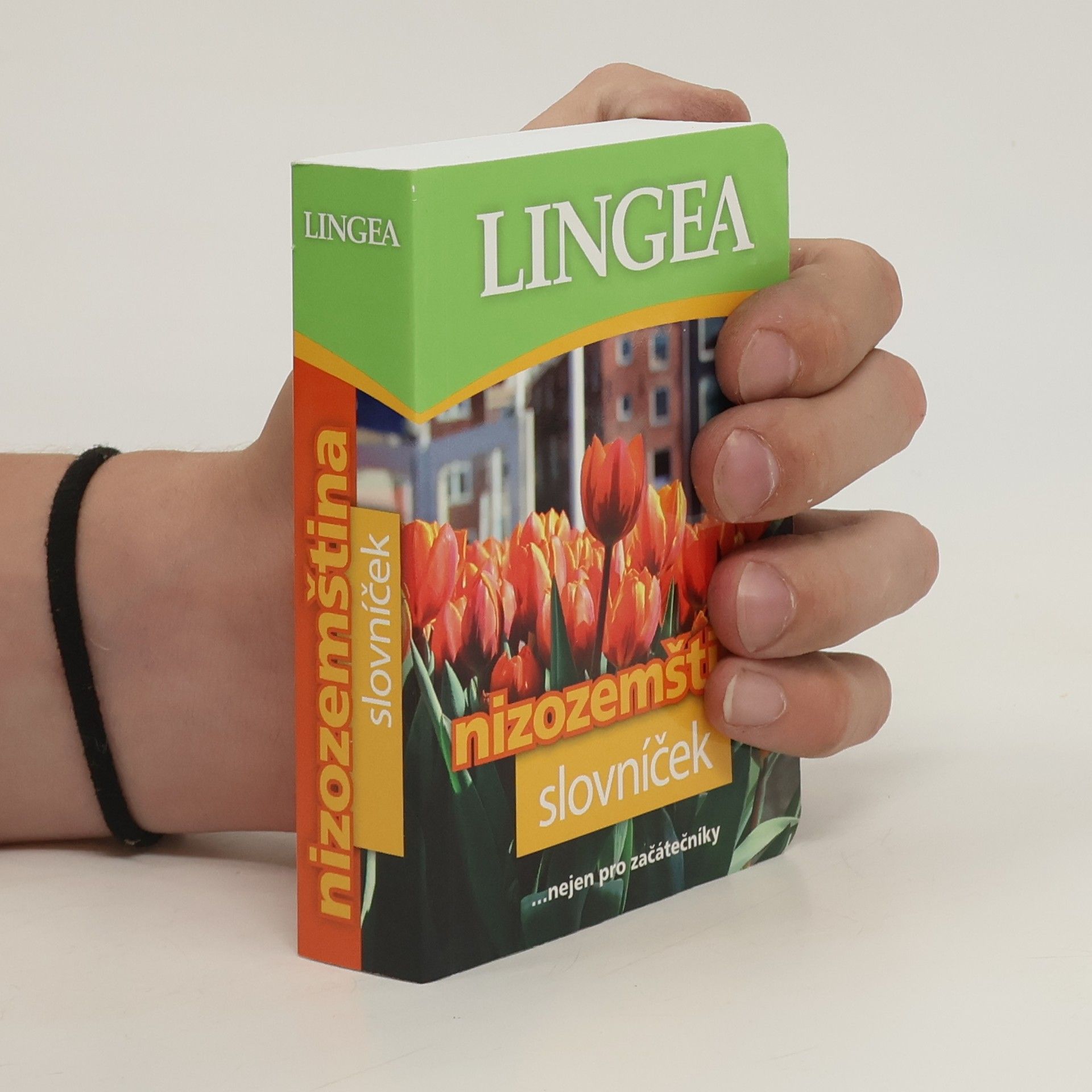Autorenkollektiv Nizozemština. Slovníček