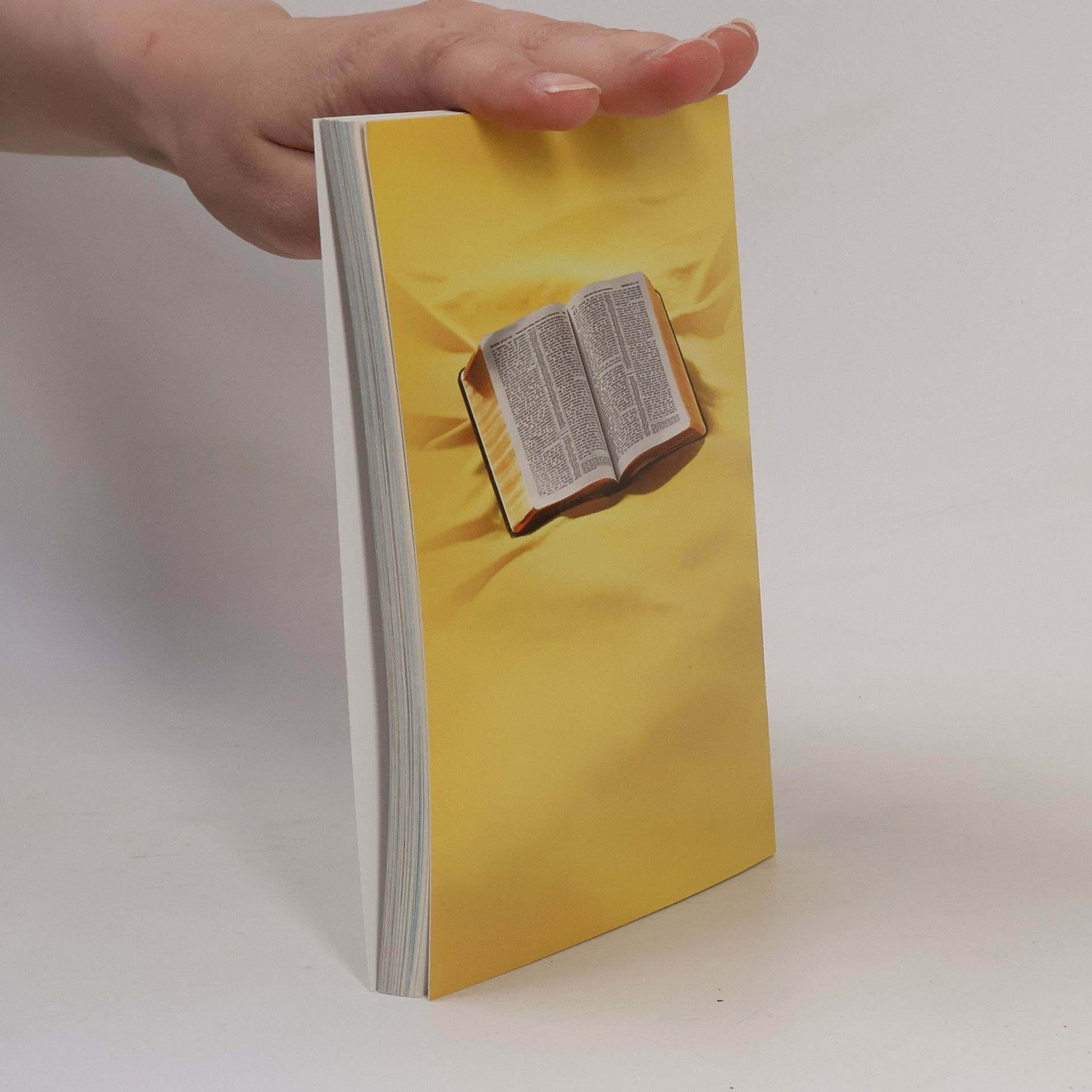 Kolektiv autorů Was lehrt die Bibel wirklich?