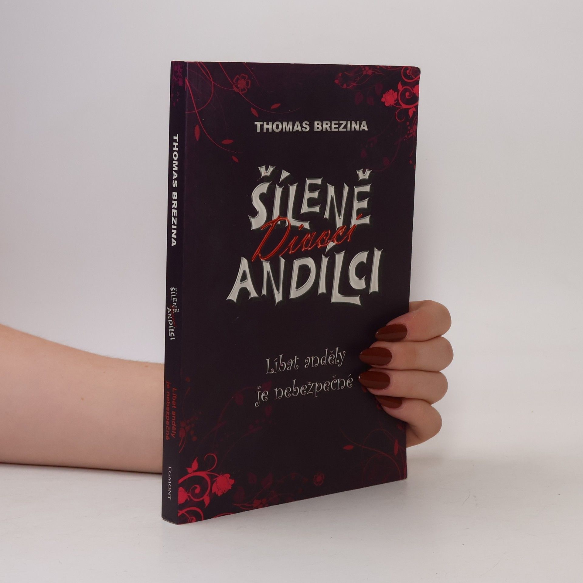Thomas Brezina Šíleně divocí andílci. Líbat anděly je nebezpečné
