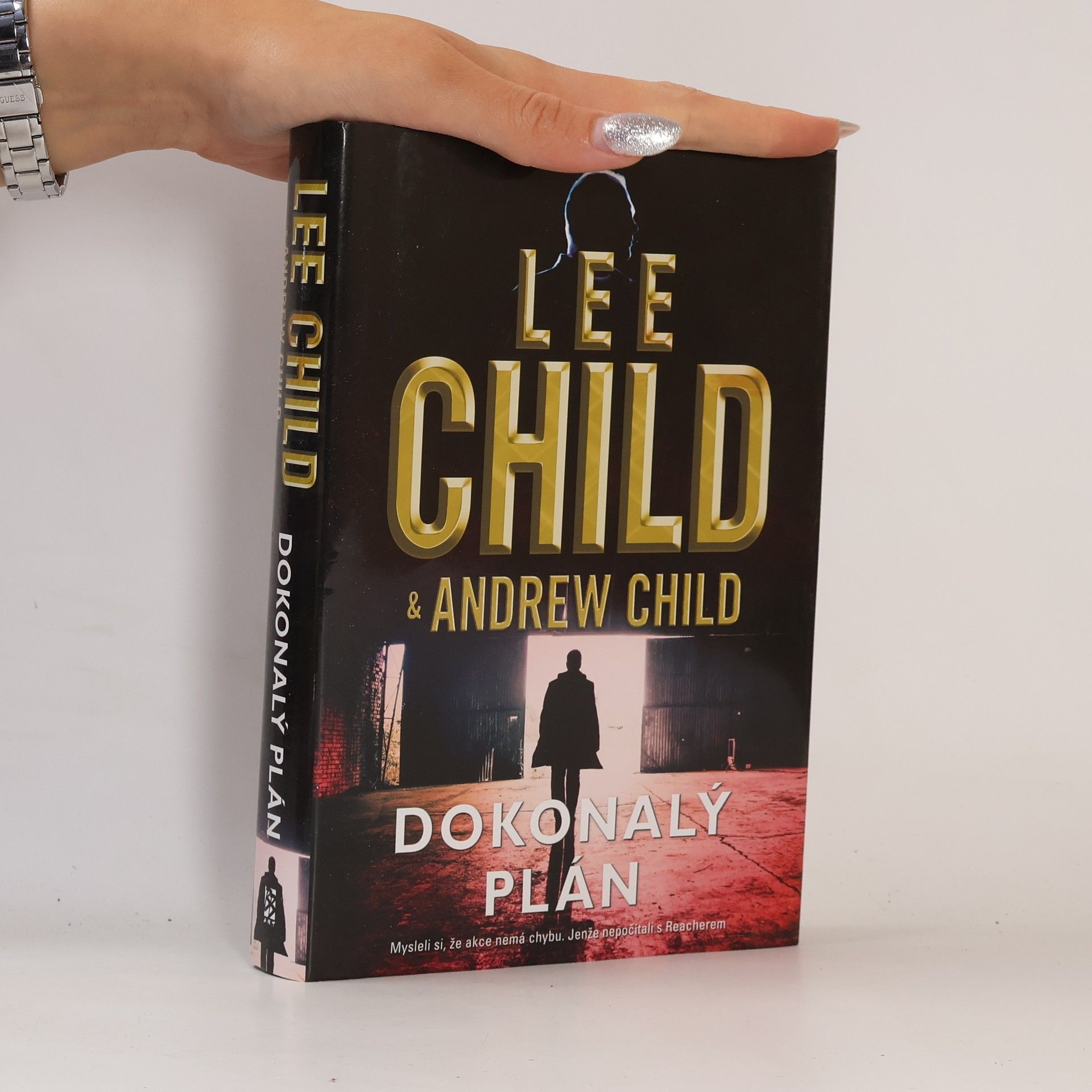 Lee Child Dokonalý plán