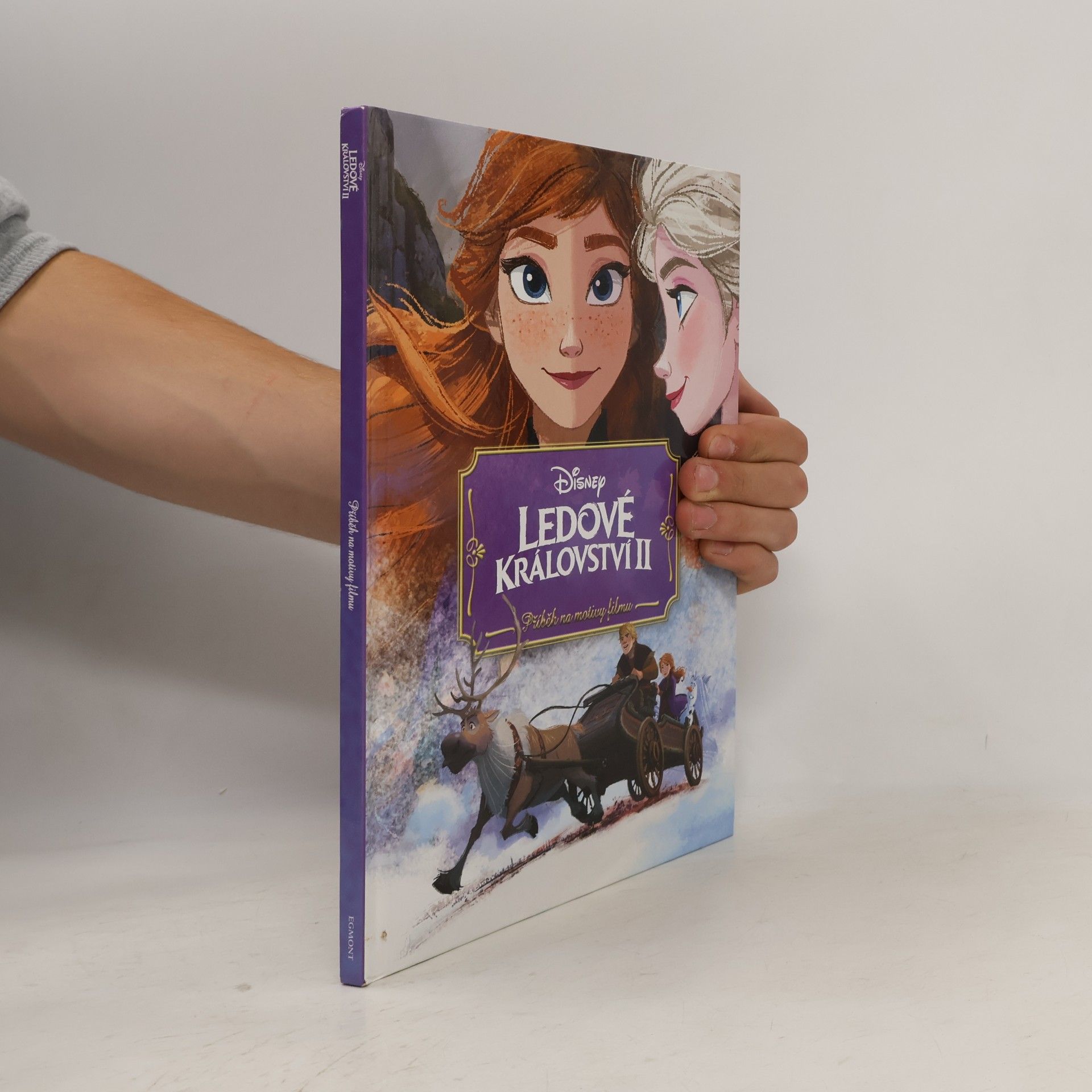 Petra Vichrová Ledové království II