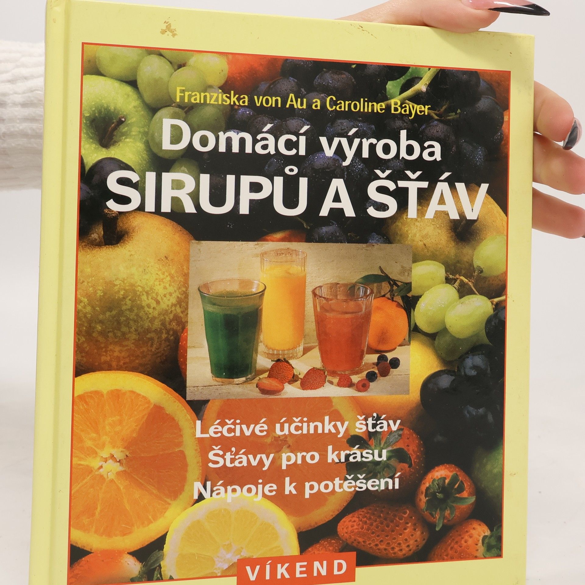 Christina Zacker Domácí výroba sirupů a šťáv