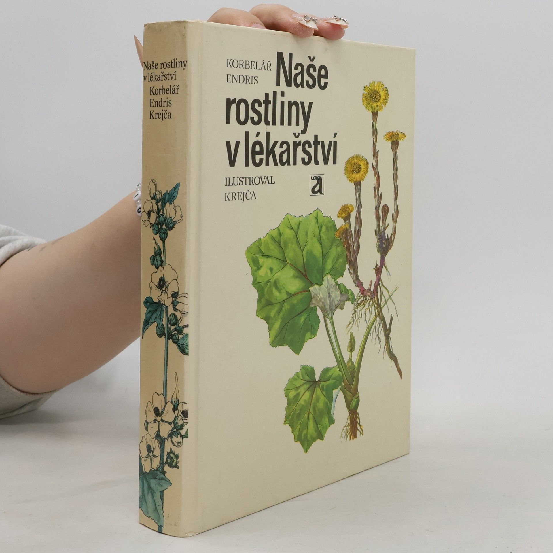 Jaroslav Korbelář Naše rostliny v lékařství